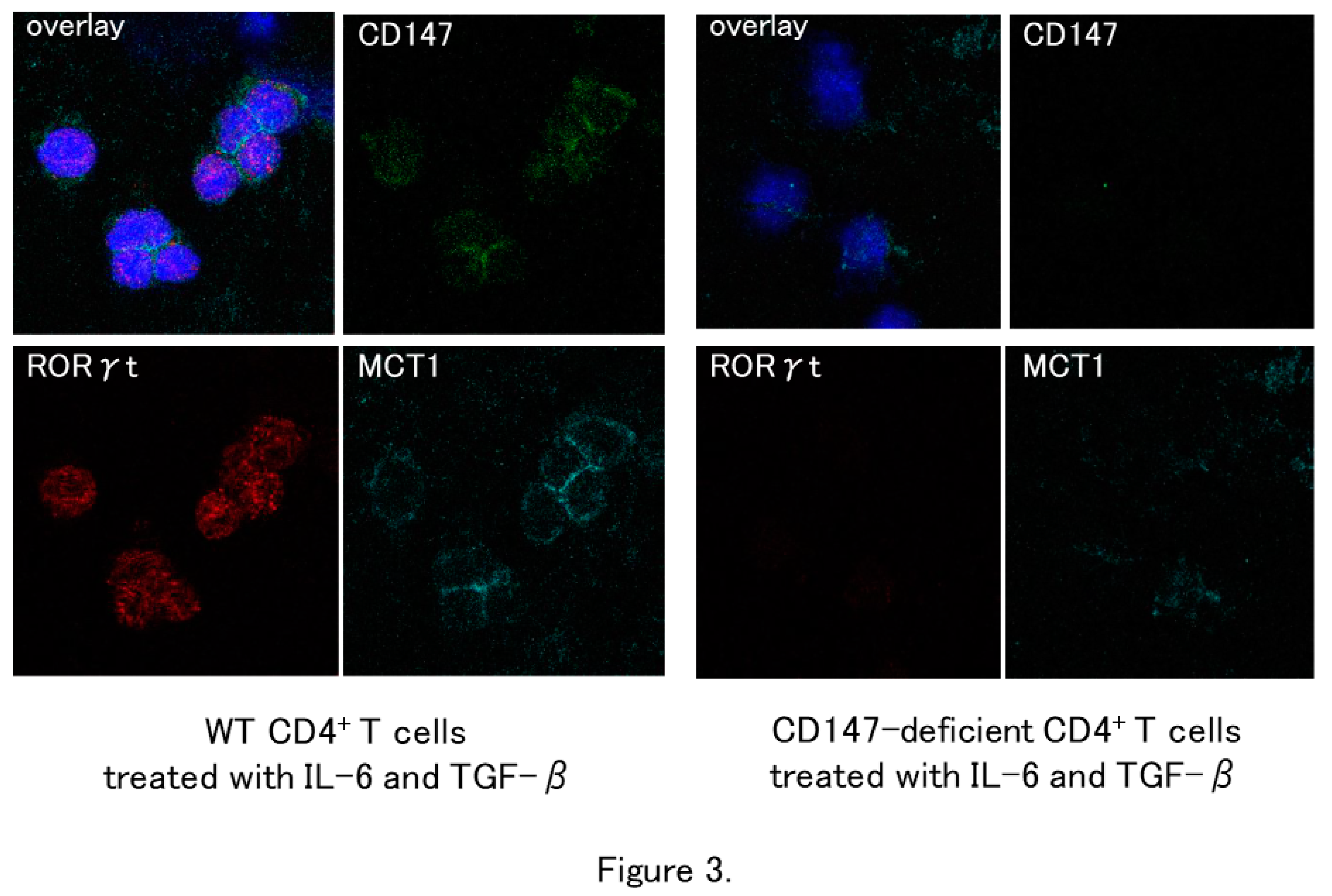 Preprints 90203 g003