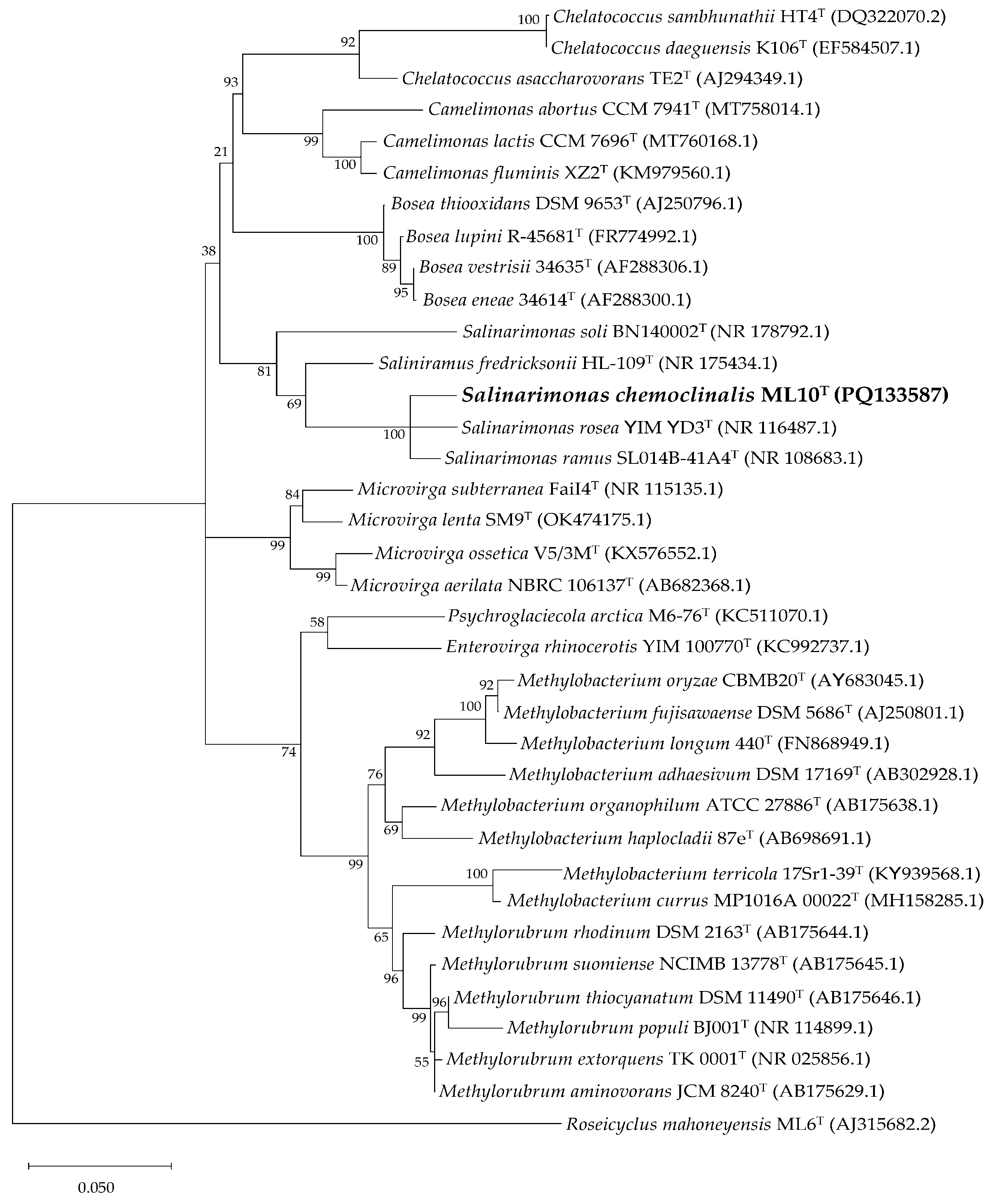 Preprints 118919 g003