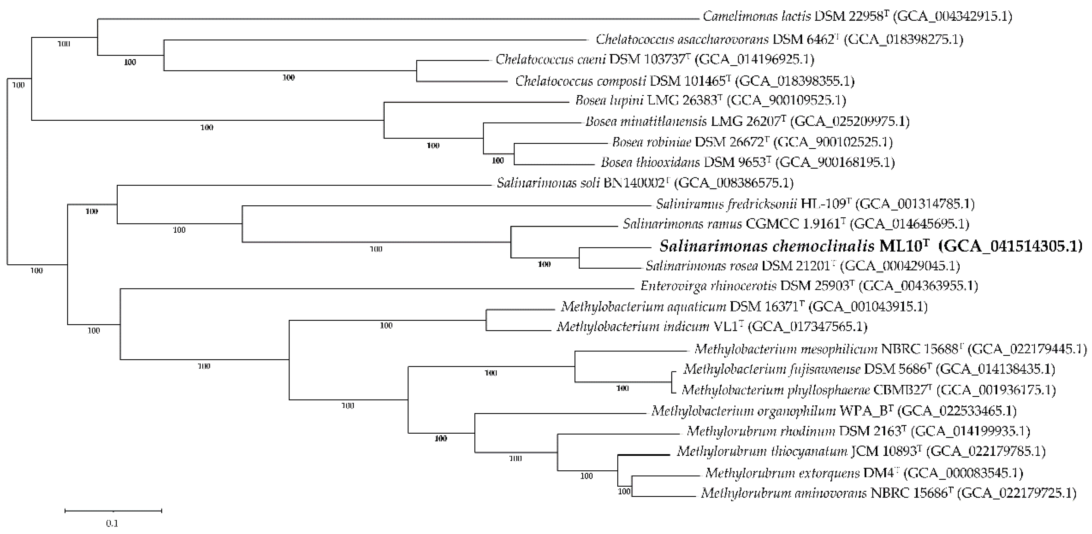 Preprints 118919 g004