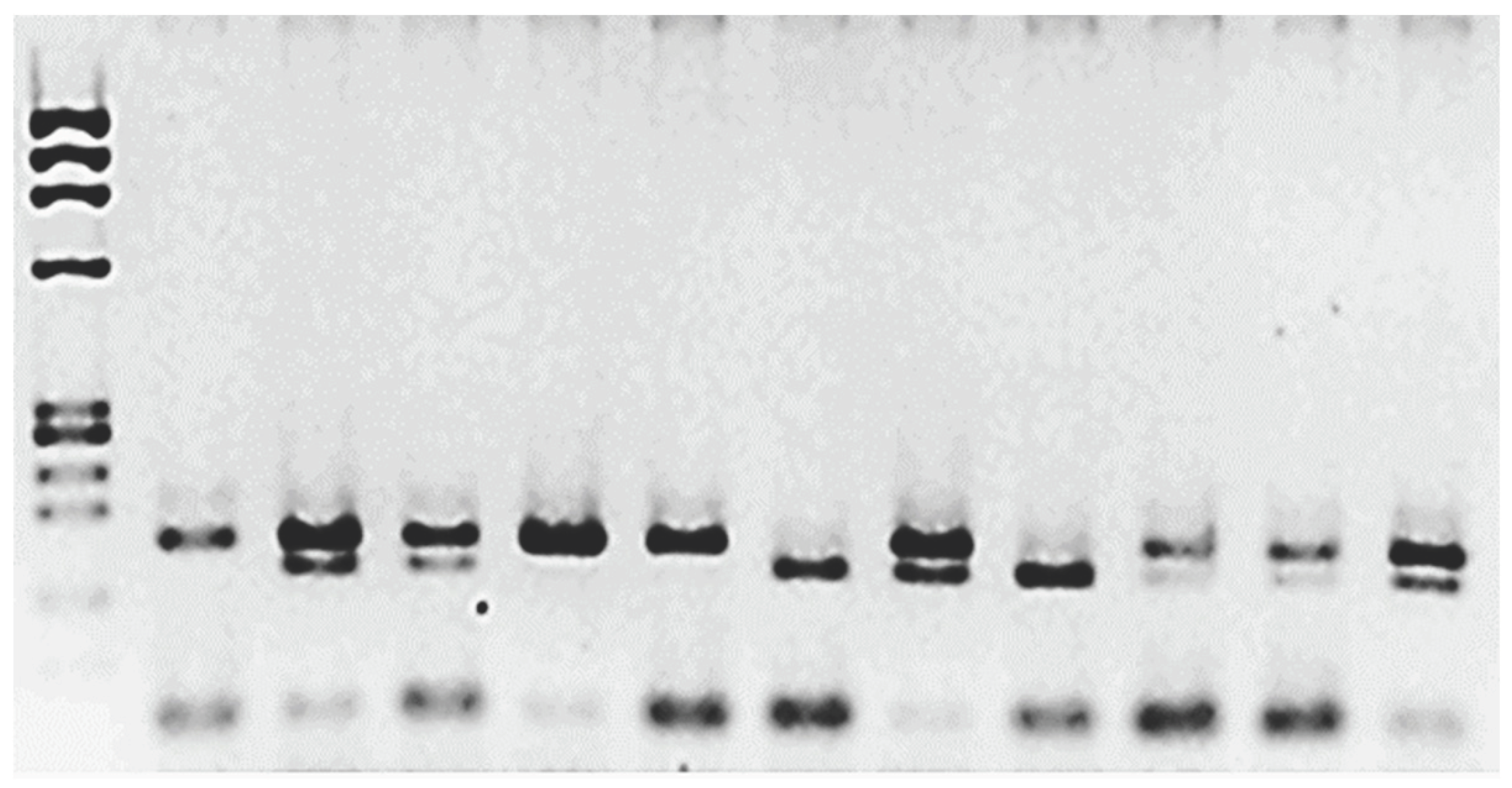 Preprints 100108 g001