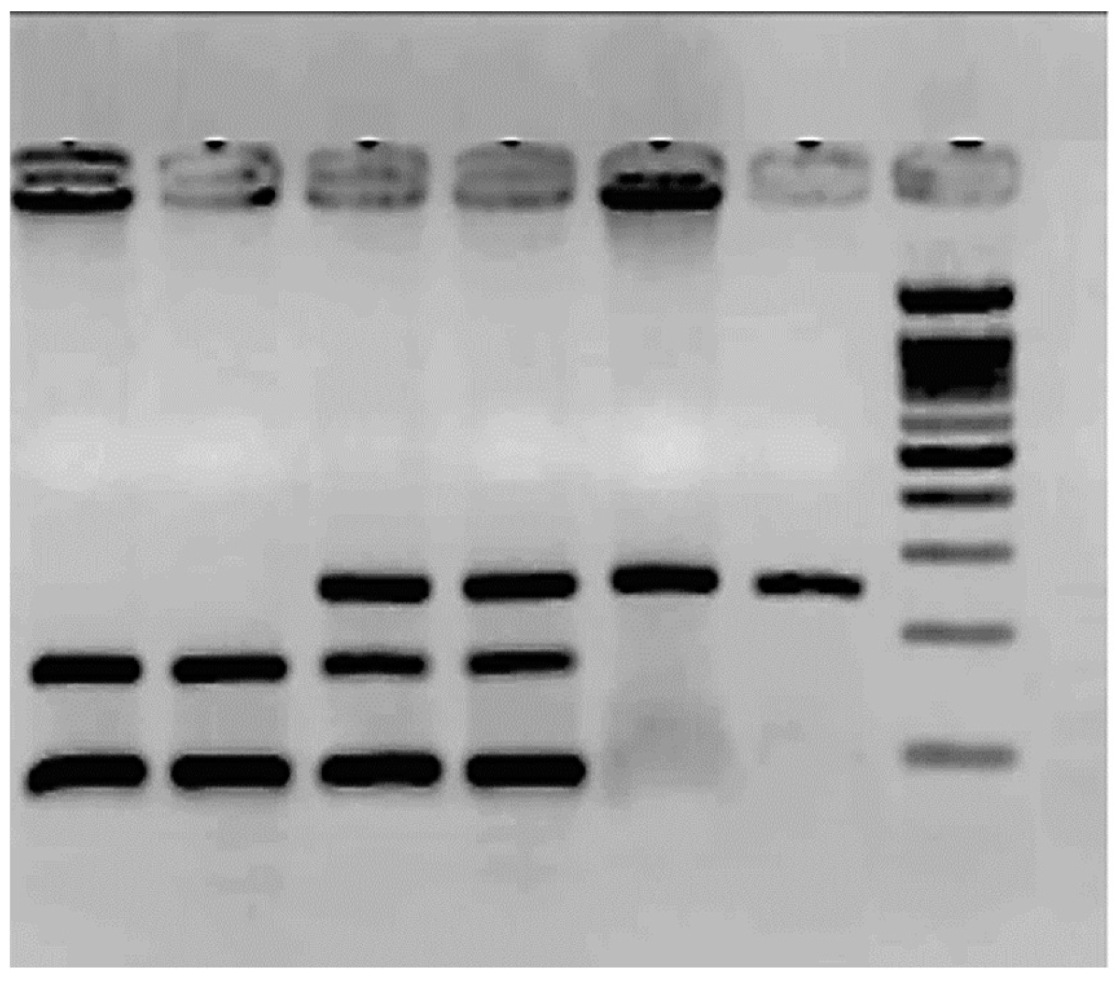 Preprints 100108 g002