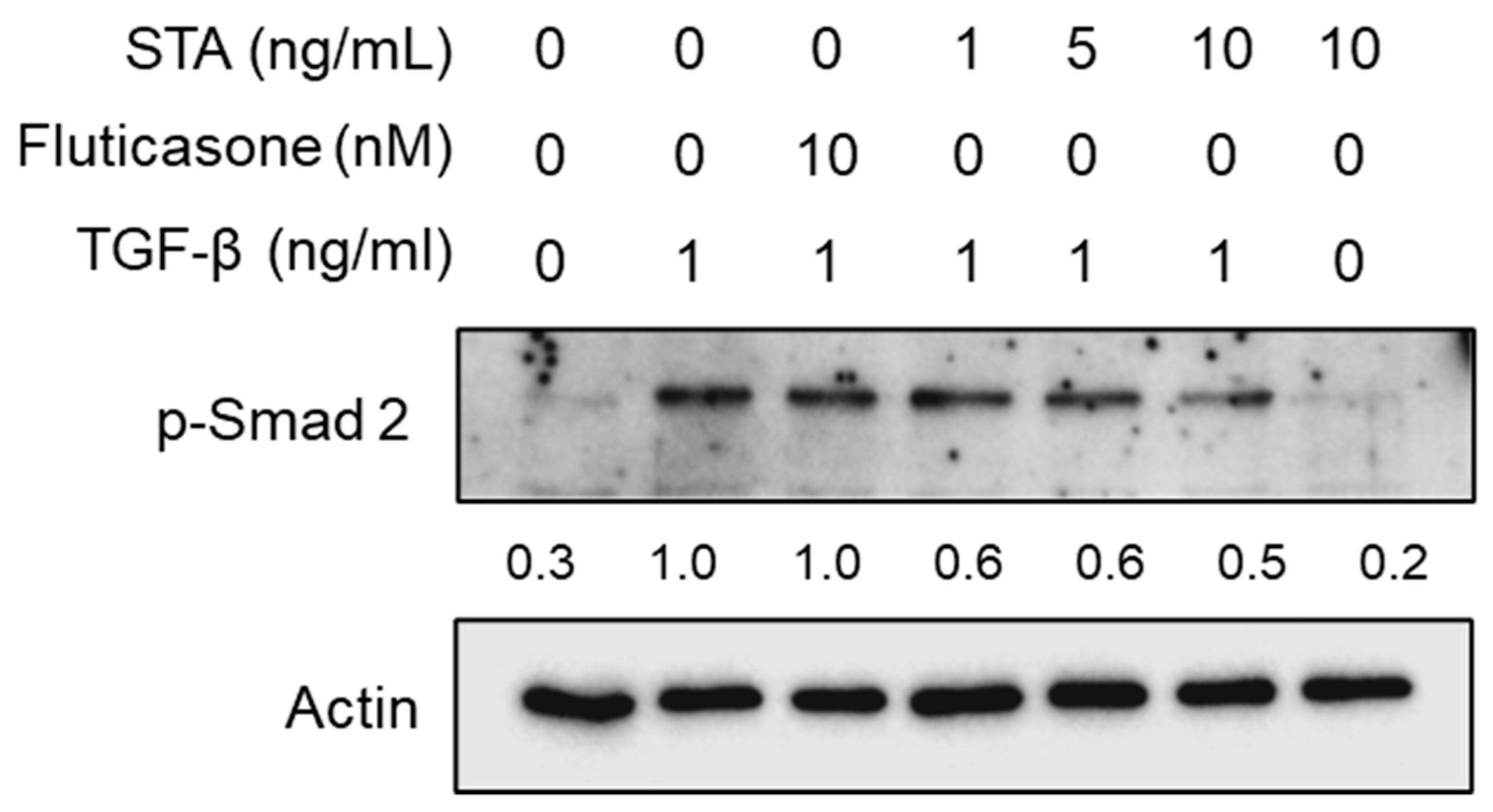 Preprints 87717 g004