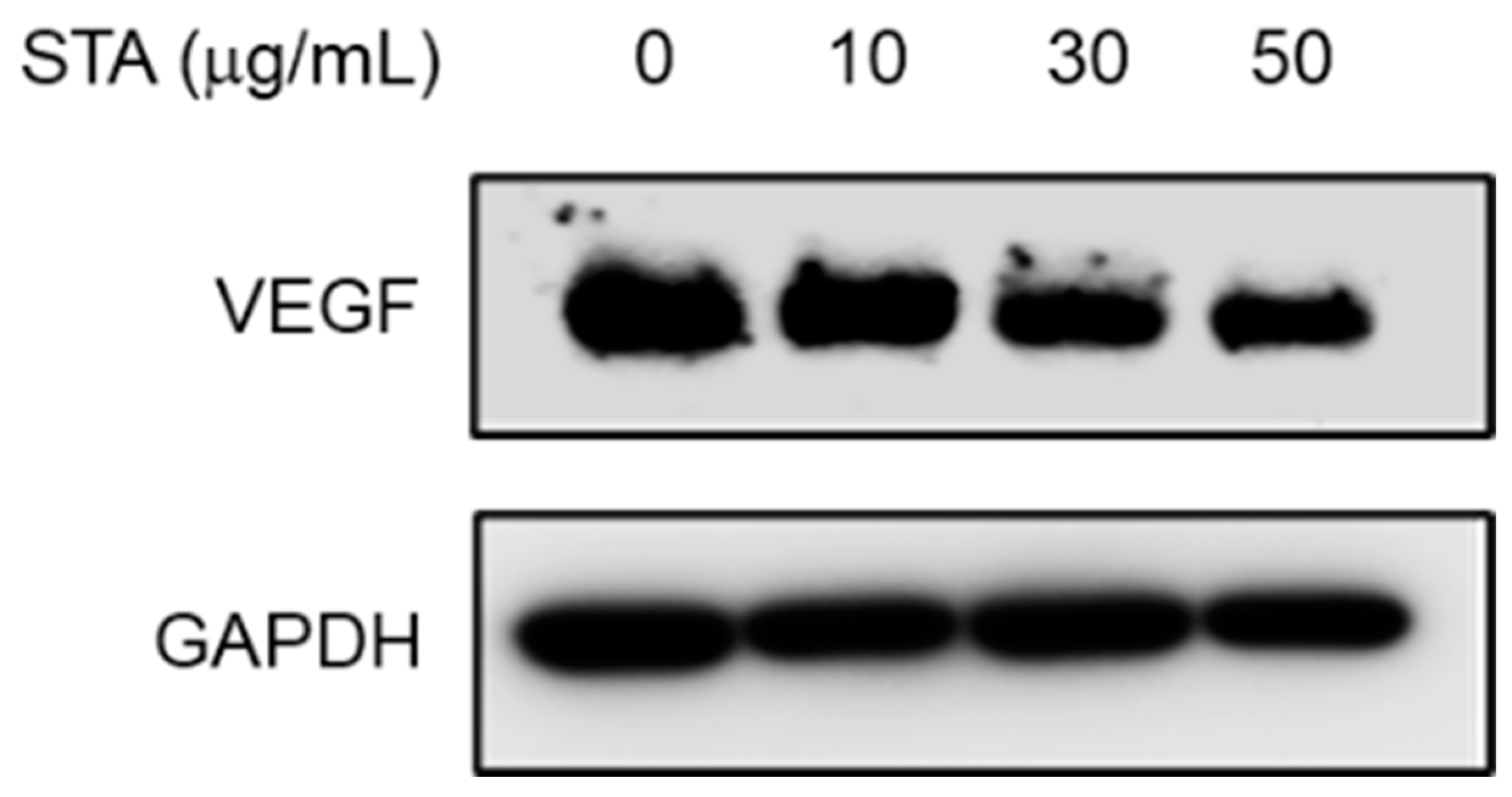 Preprints 87717 g005