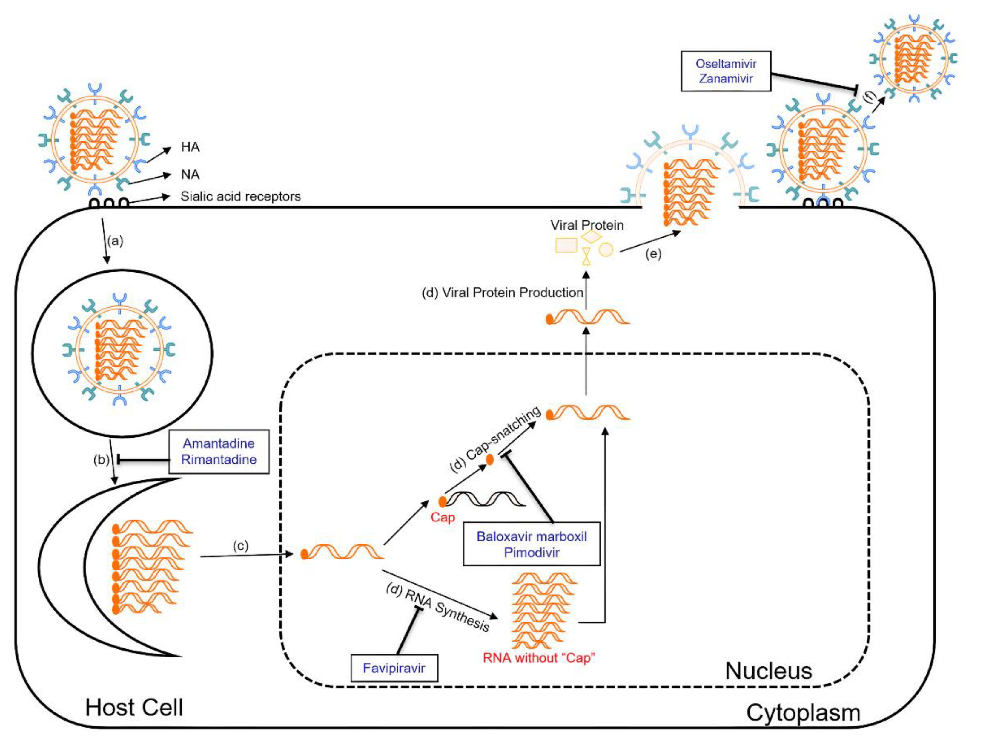 Preprints 97683 g002