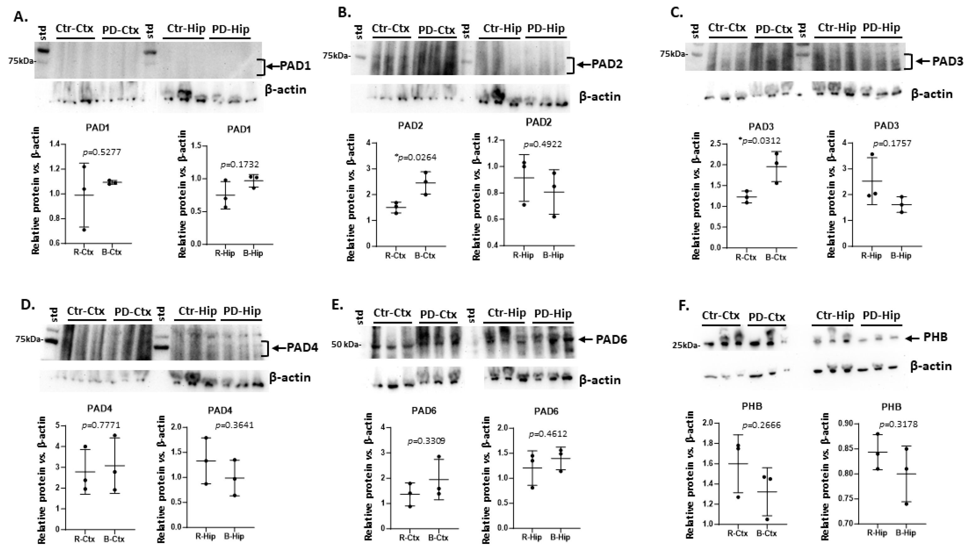 Preprints 110544 g001