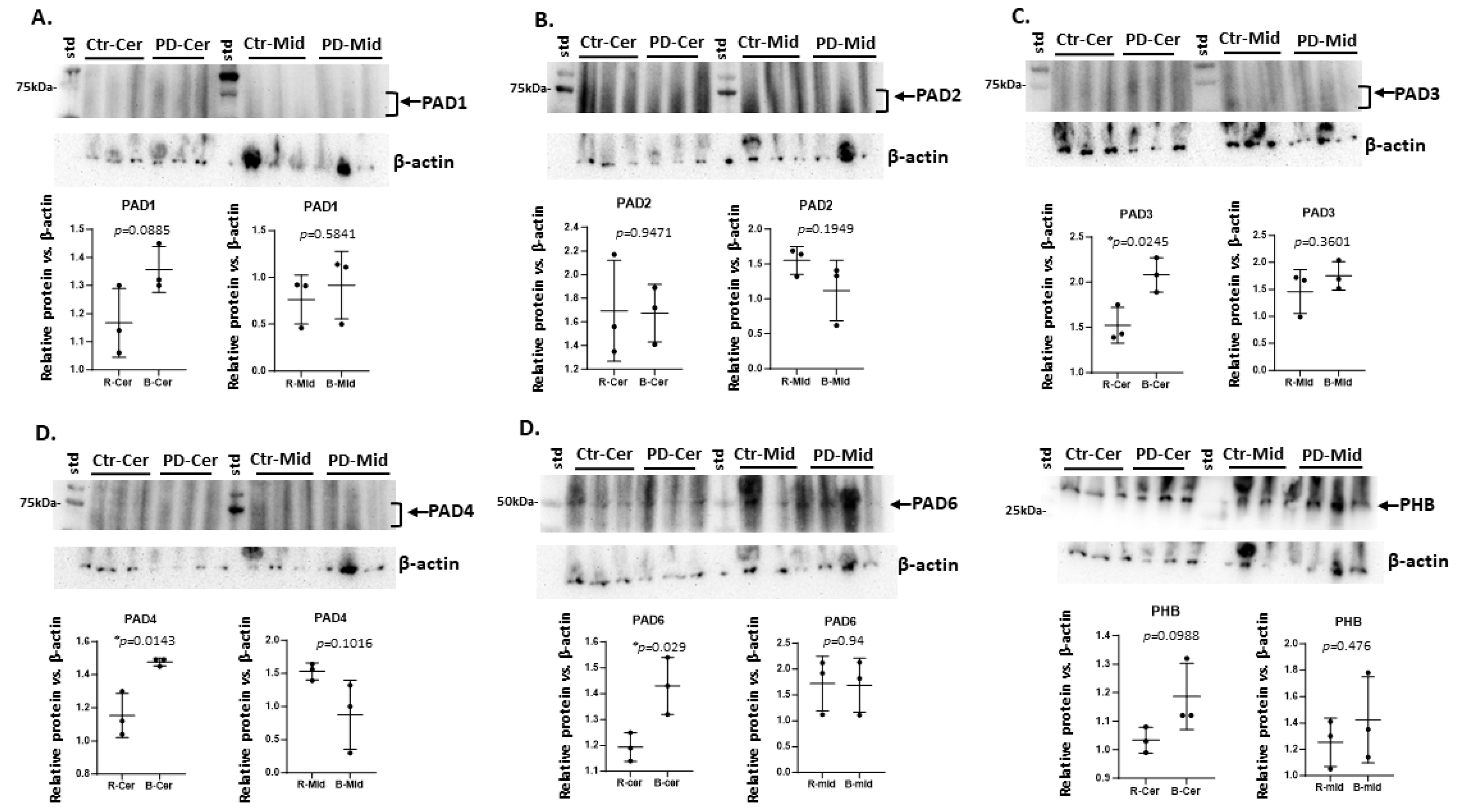 Preprints 110544 g002