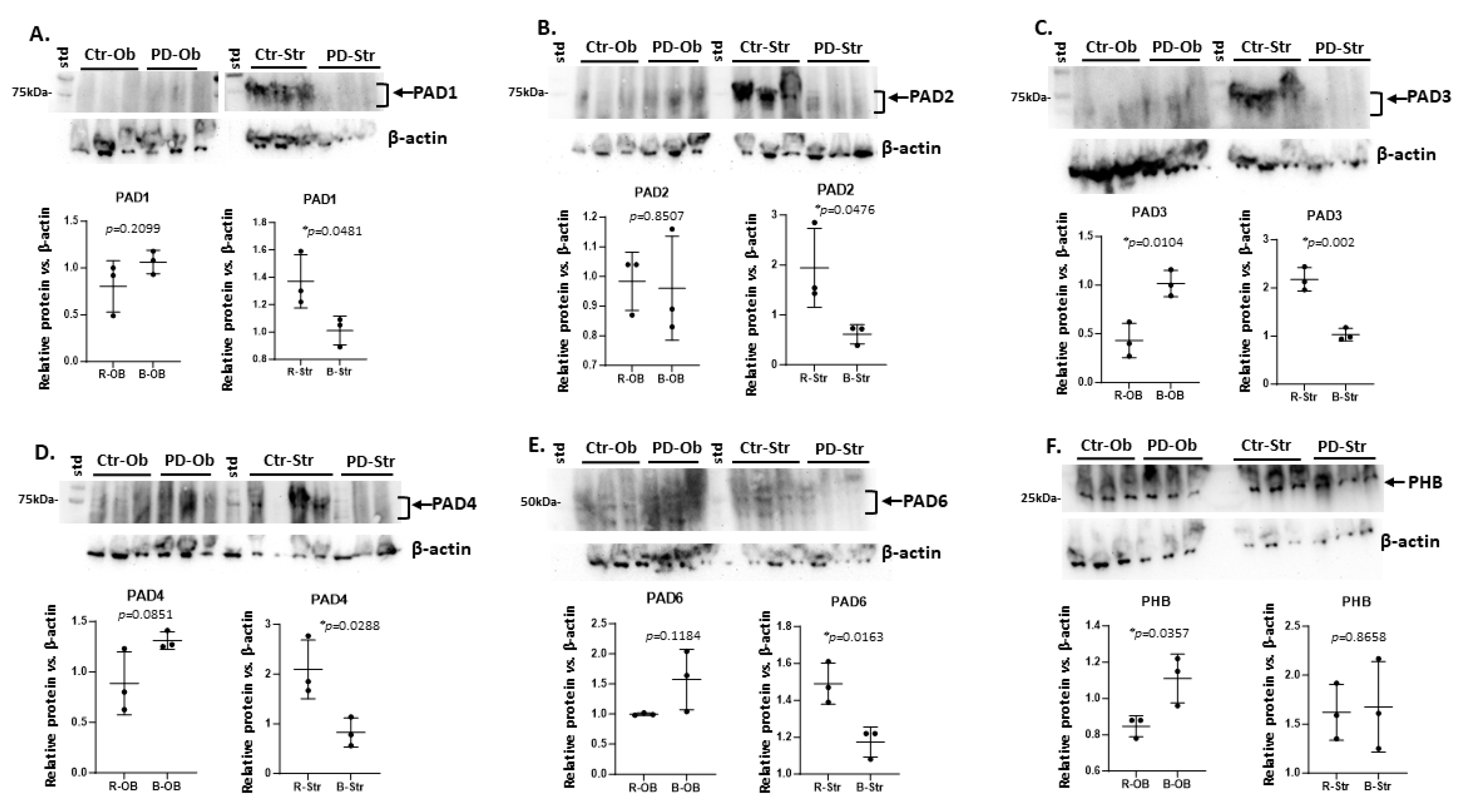 Preprints 110544 g003