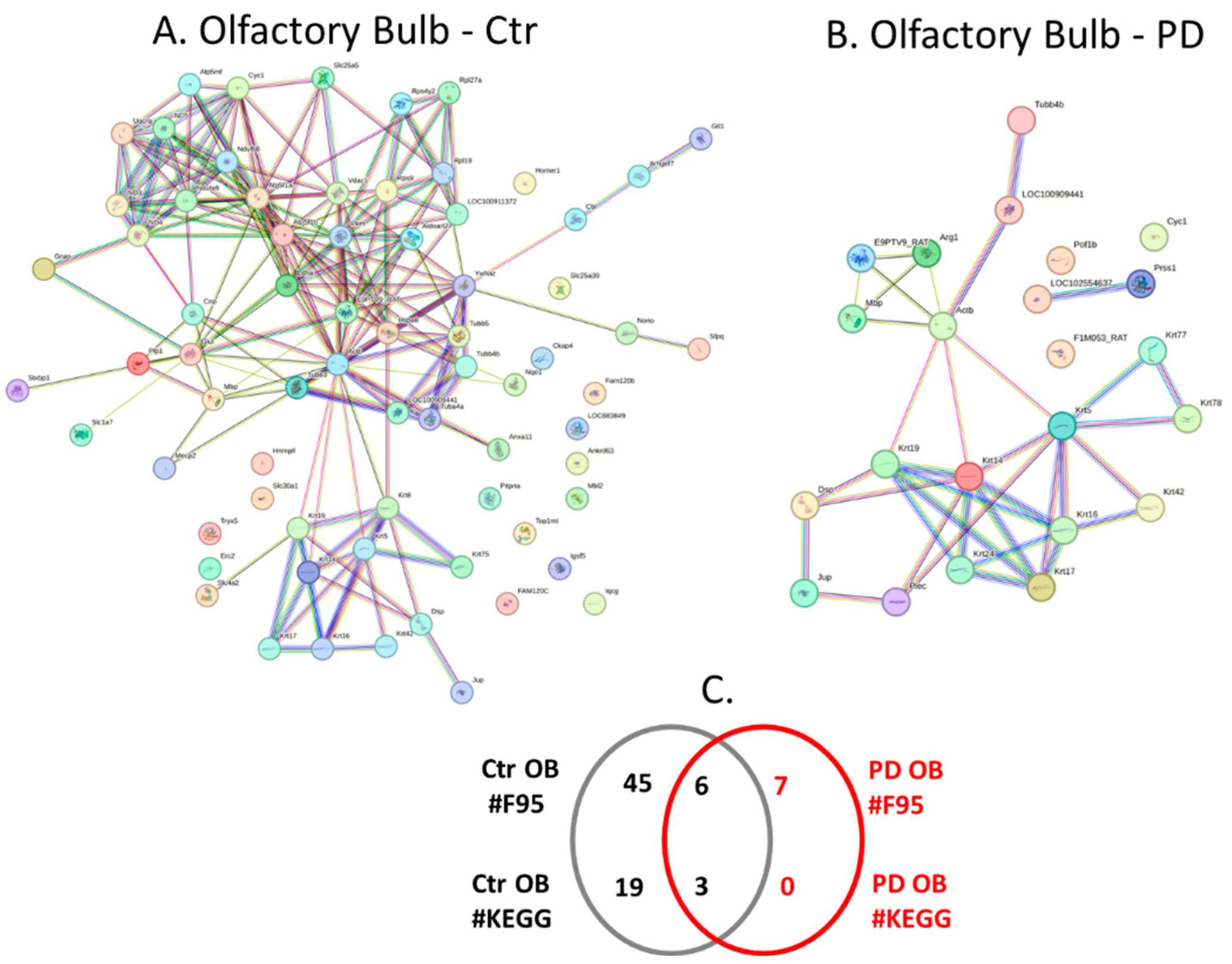 Preprints 110544 g009