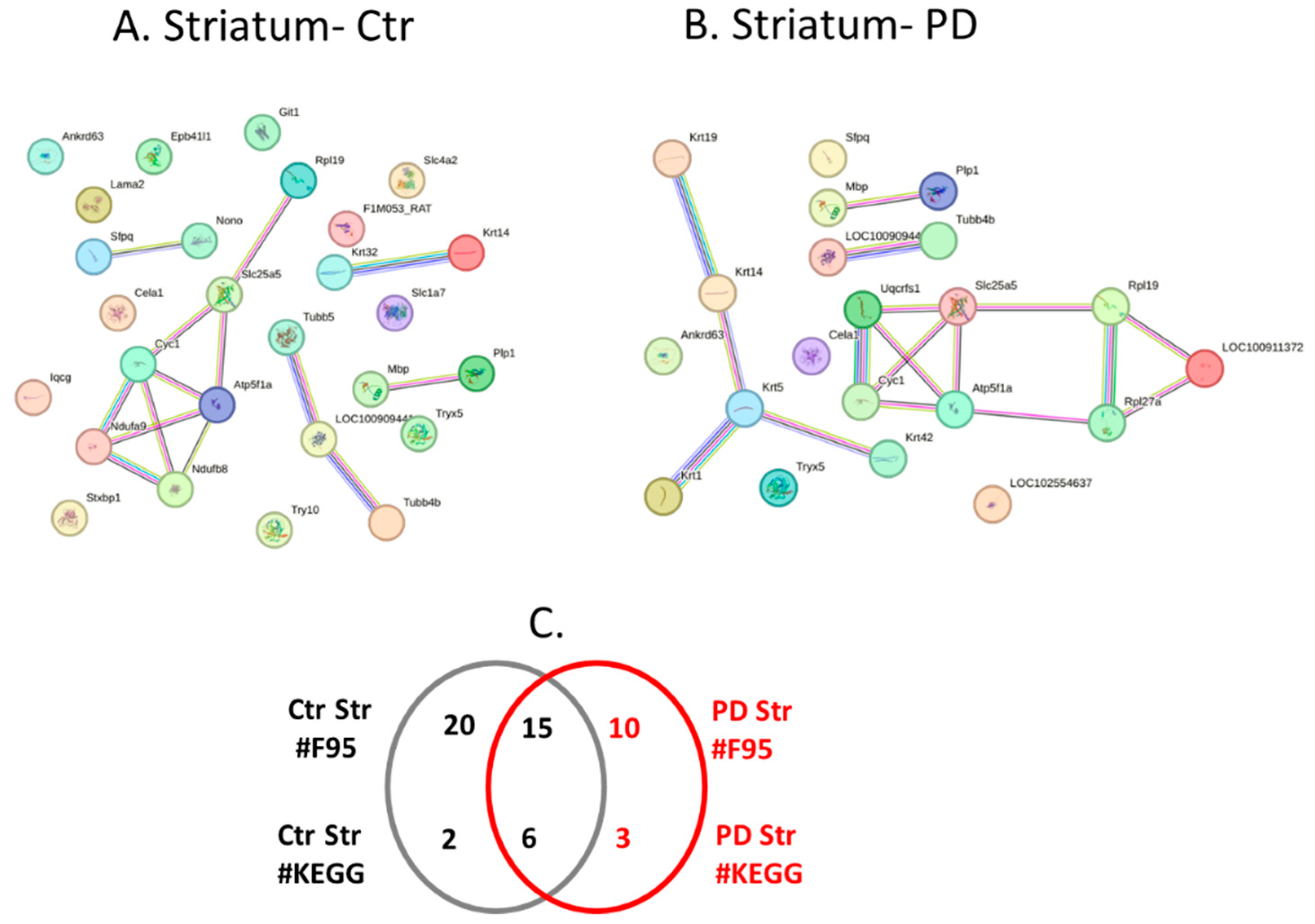 Preprints 110544 g010