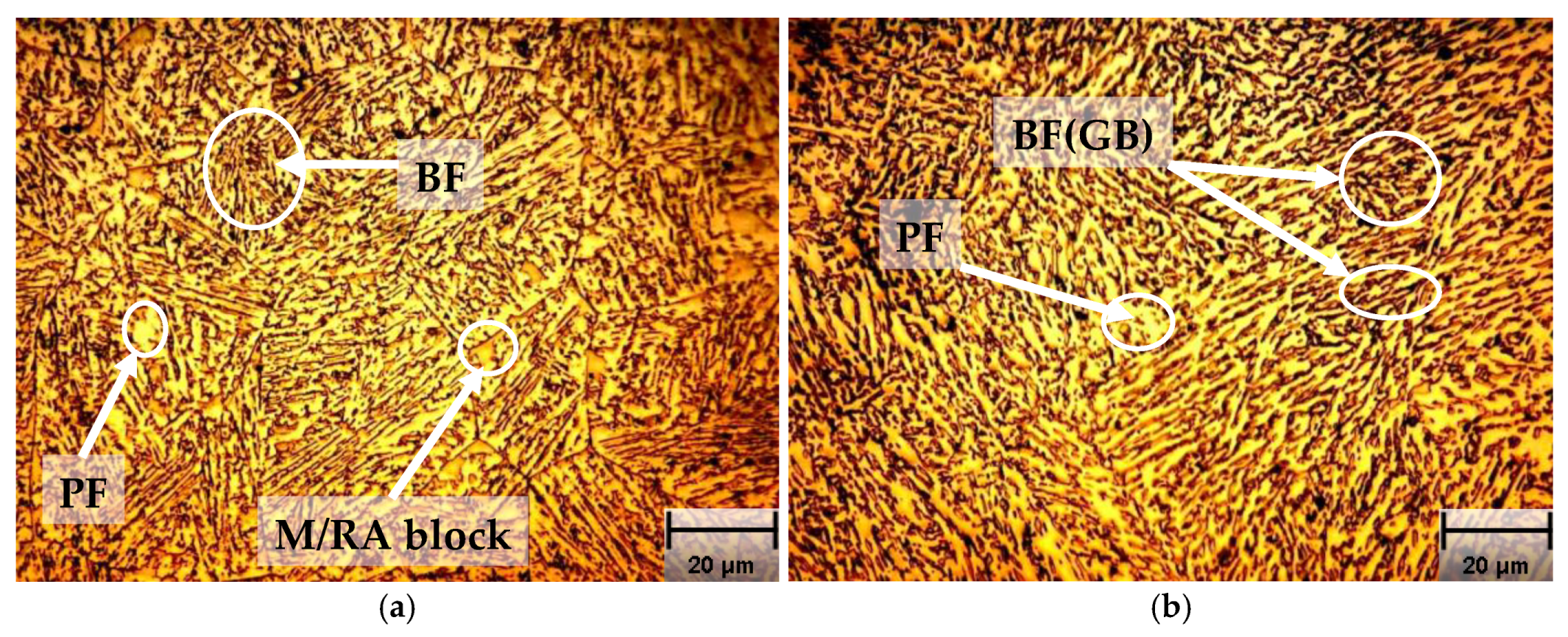 Preprints 116656 g002a