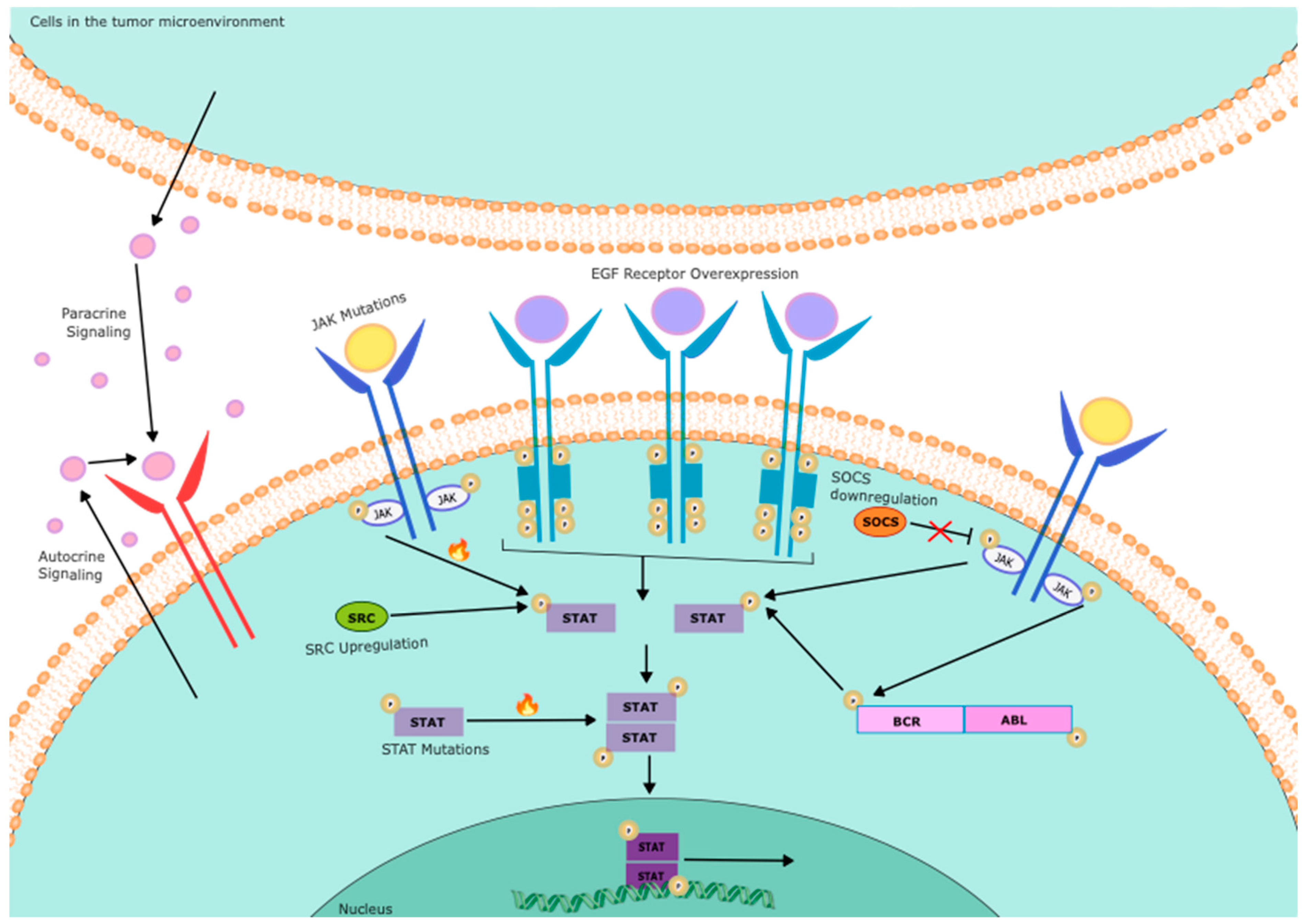 Preprints 99834 g001