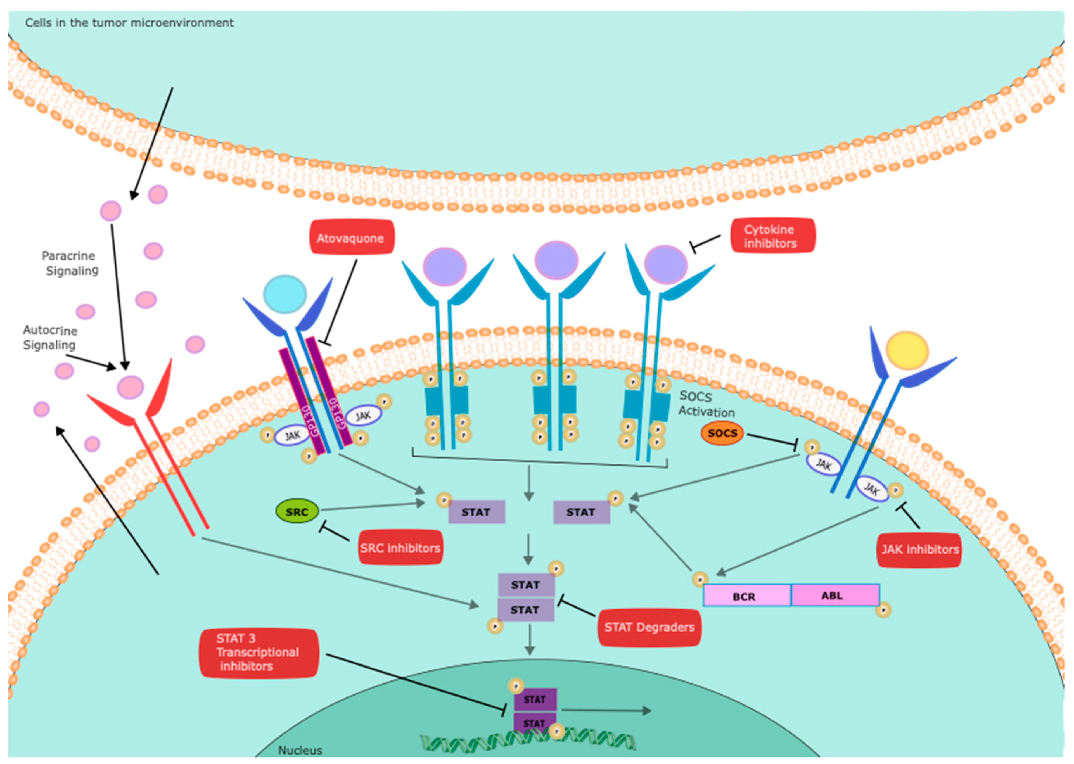 Preprints 99834 g002