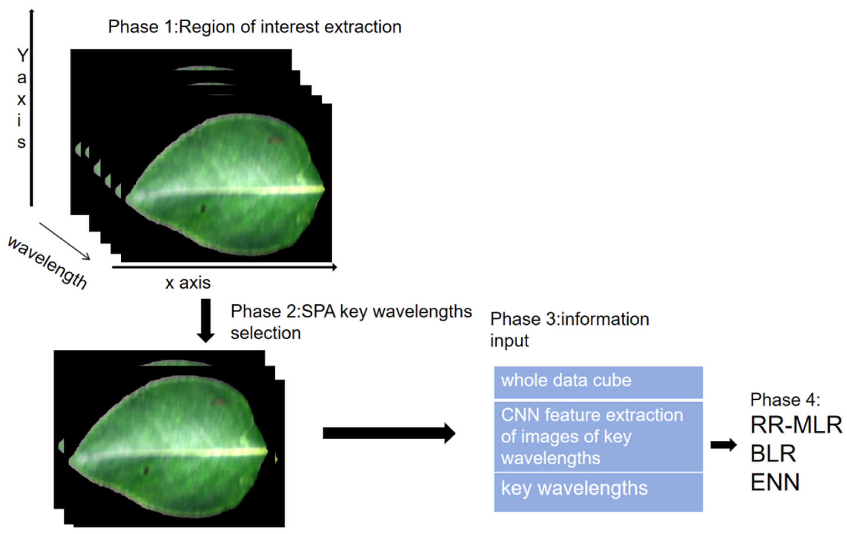 Preprints 99275 g002