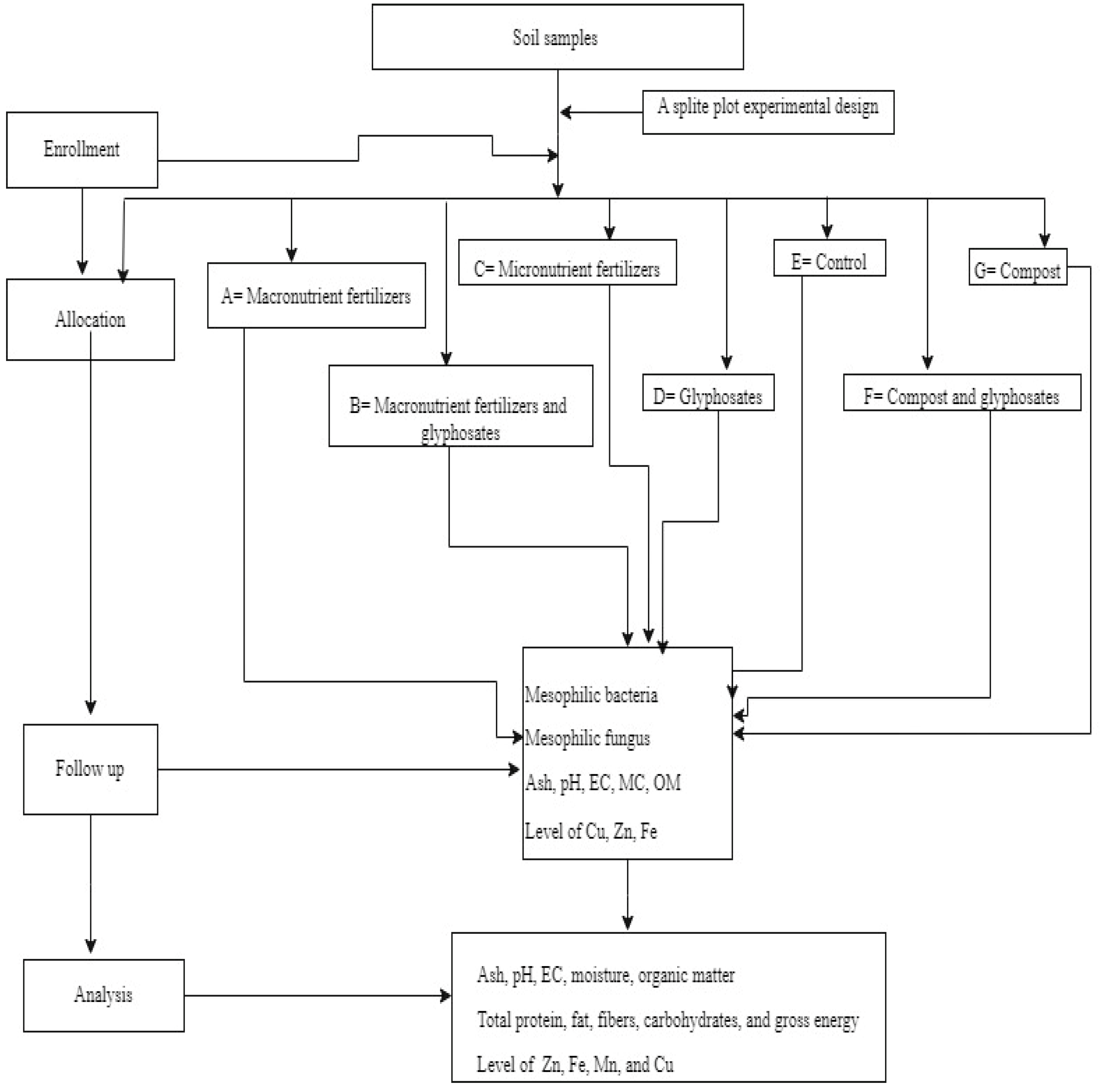 Preprints 106975 g001