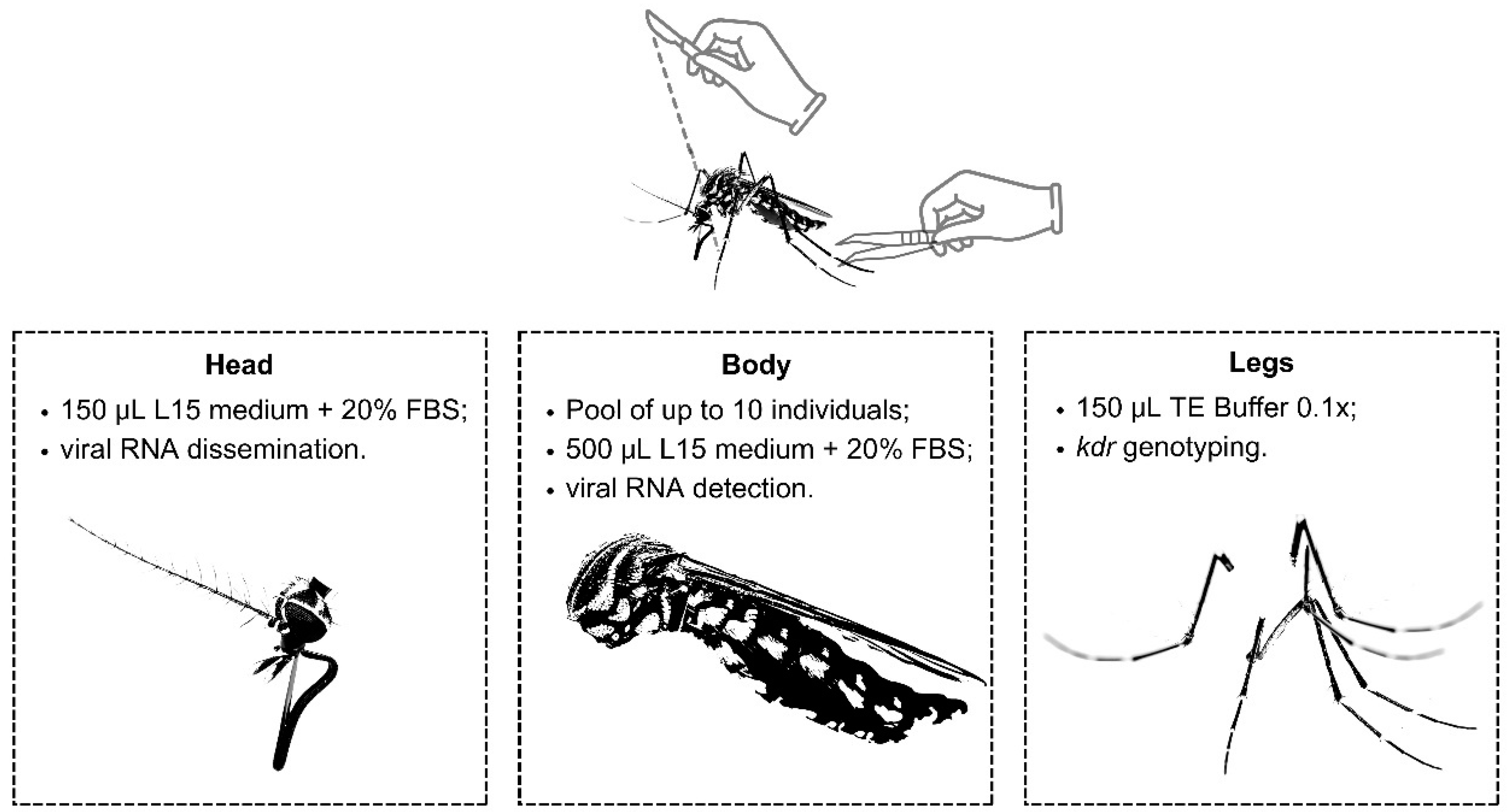 Preprints 105320 g002