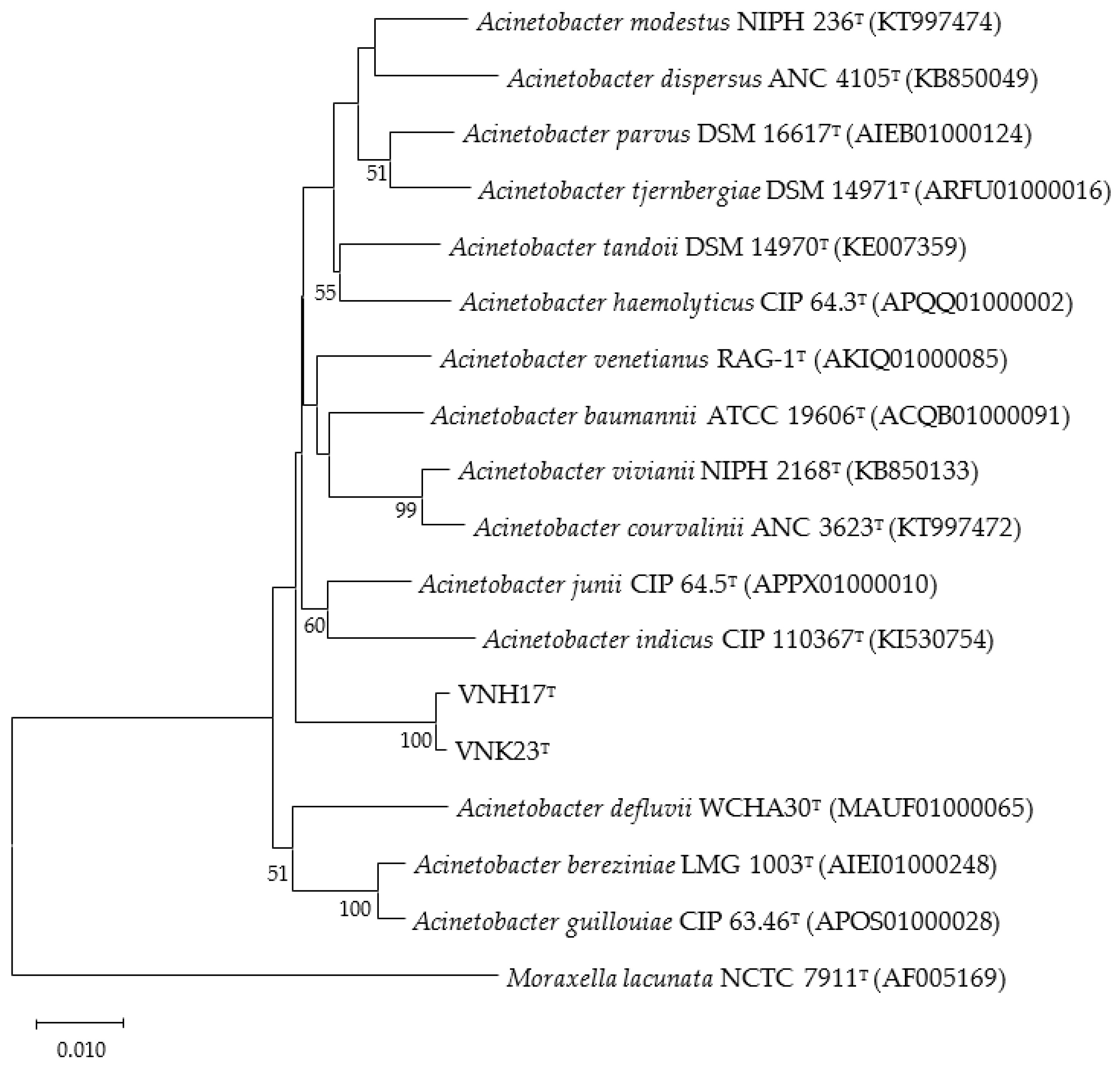 Preprints 79841 g001