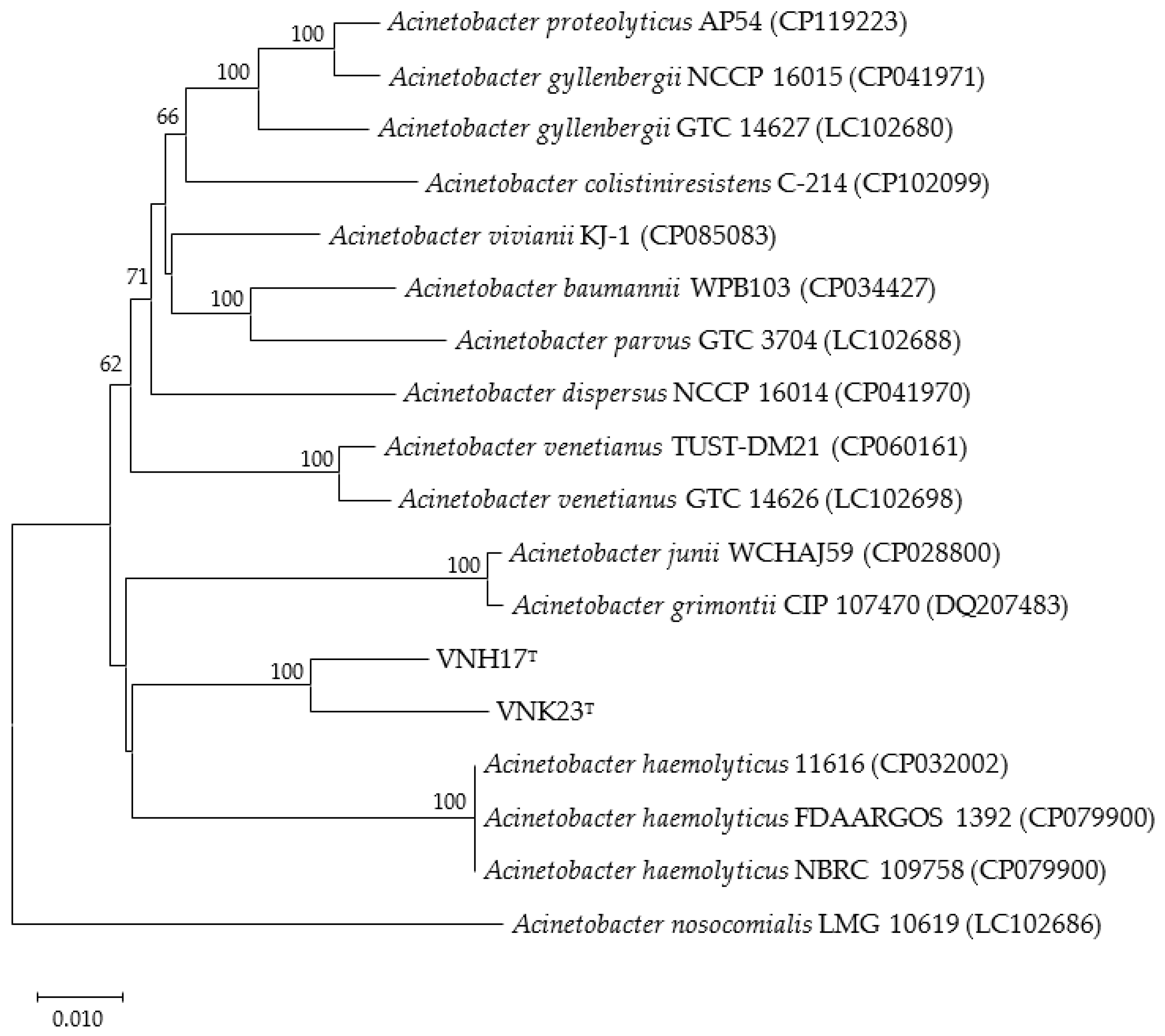 Preprints 79841 g002