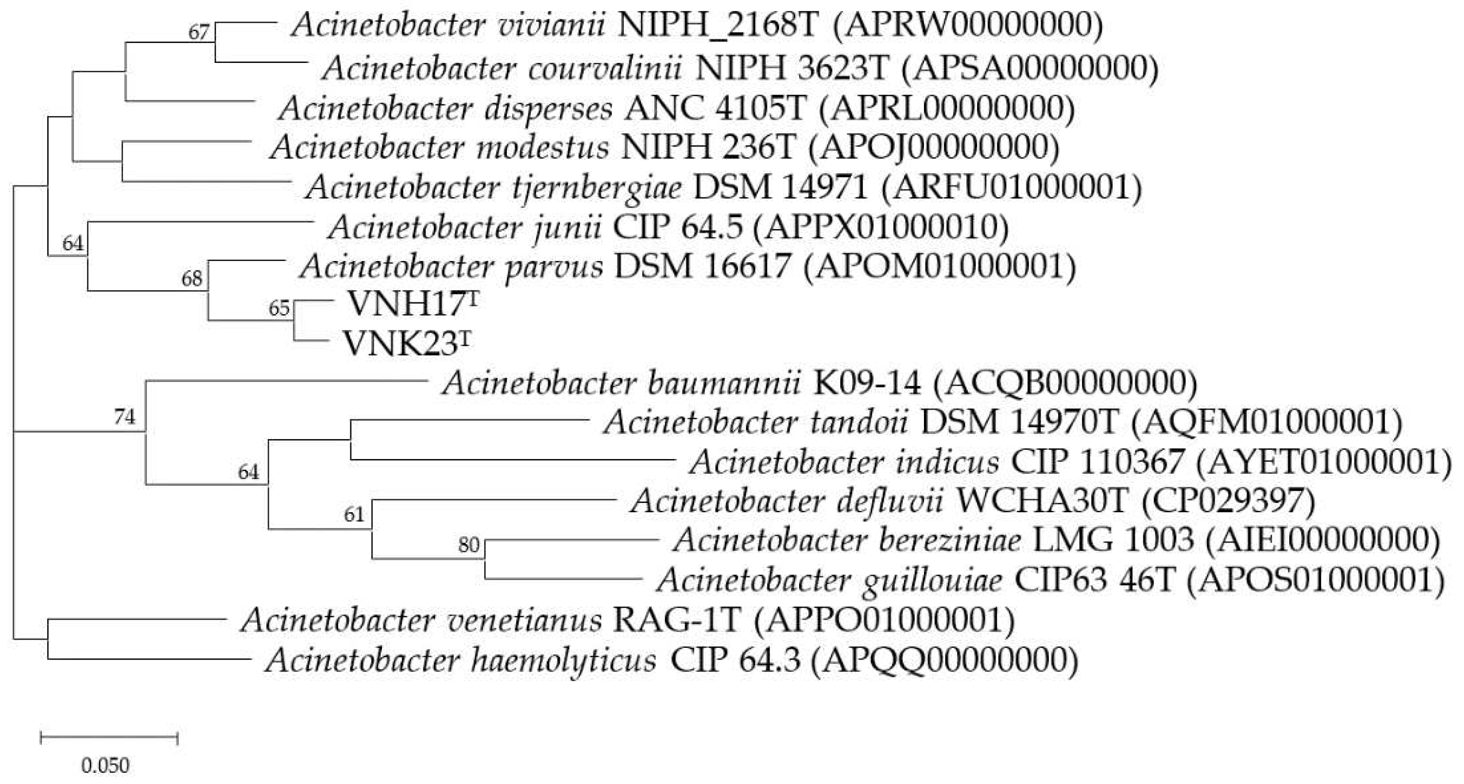 Preprints 79841 g003