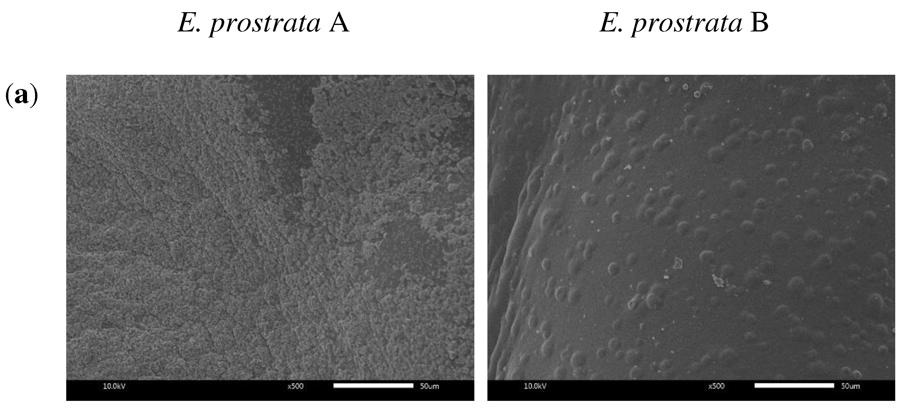 Preprints 71853 g003a