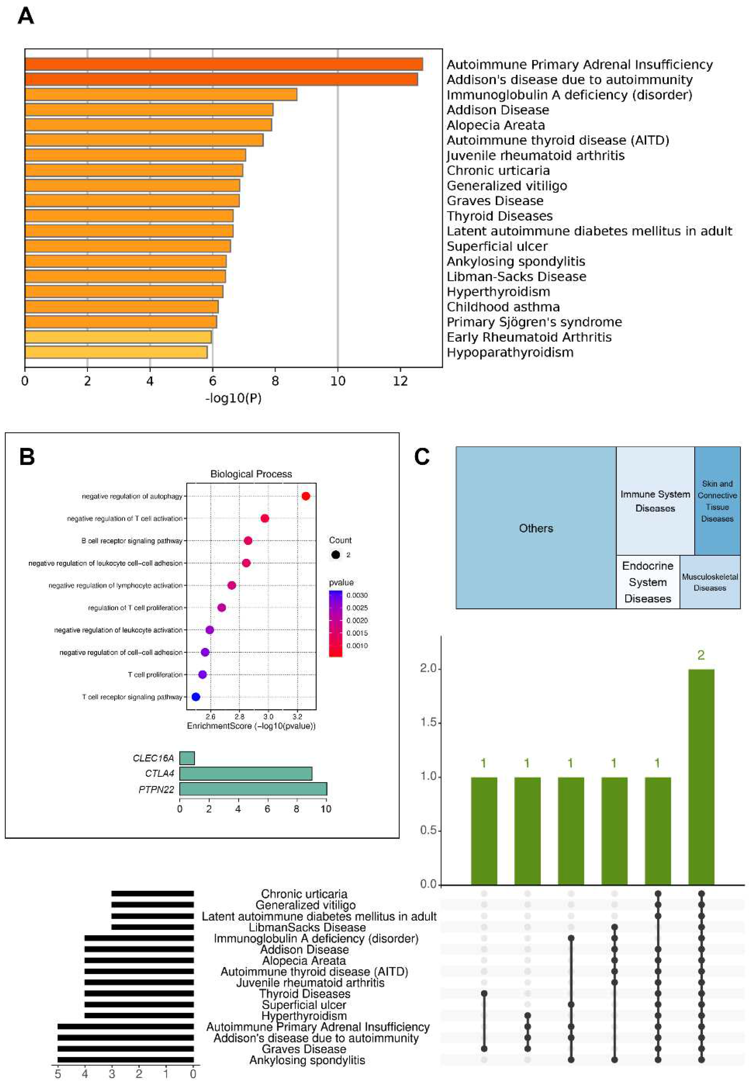 Preprints 91571 g002