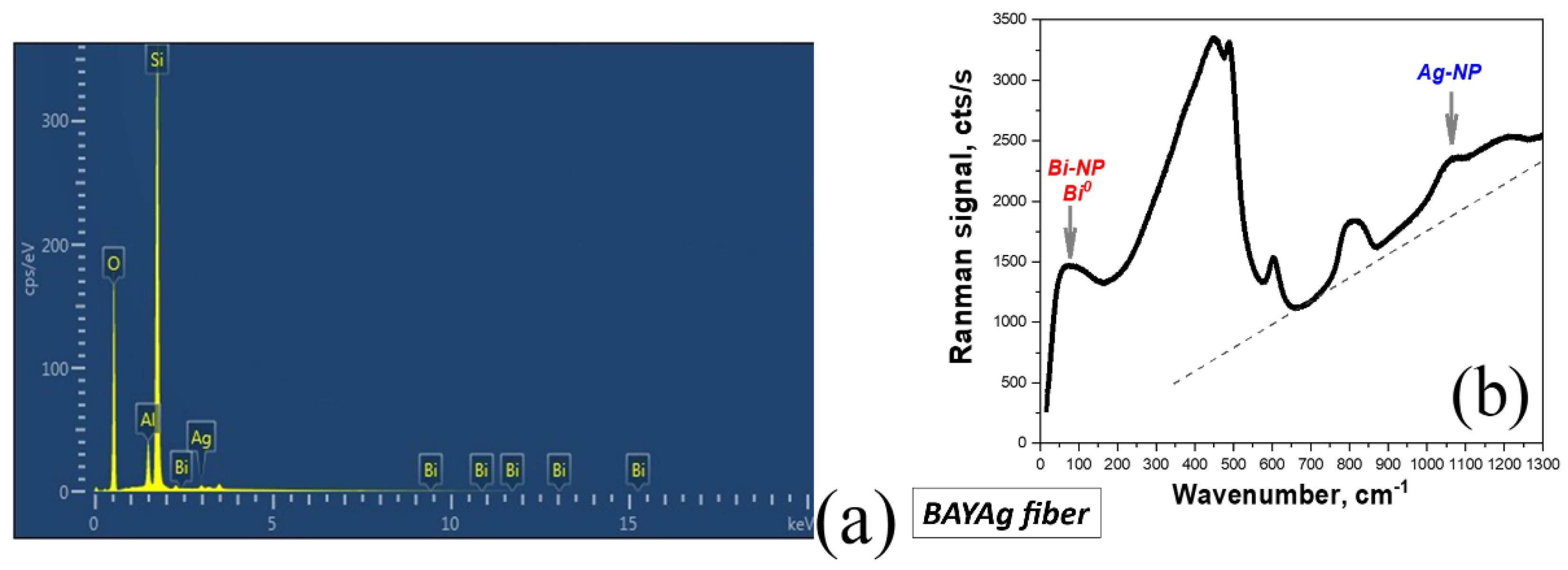 Preprints 120352 g002