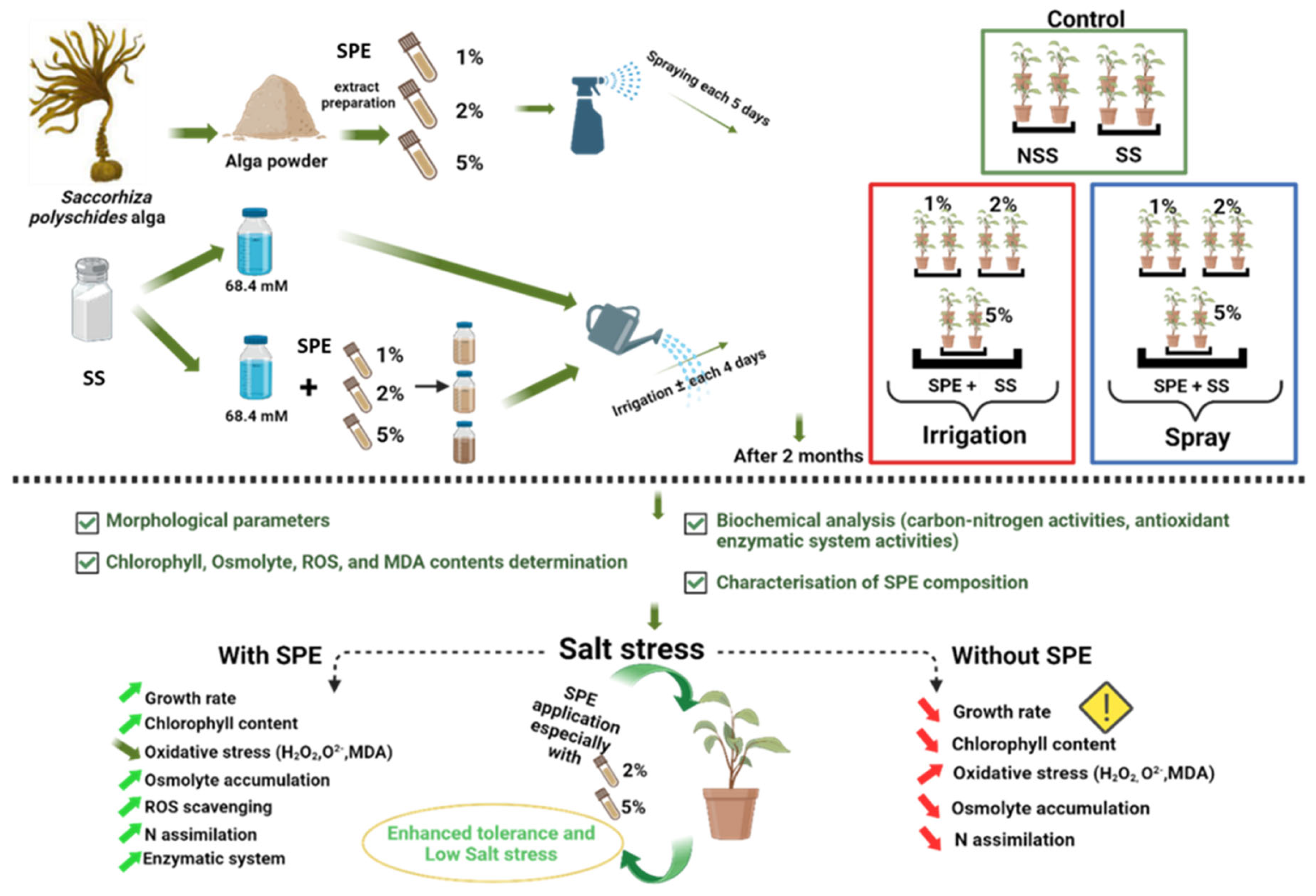 Preprints 109909 g001