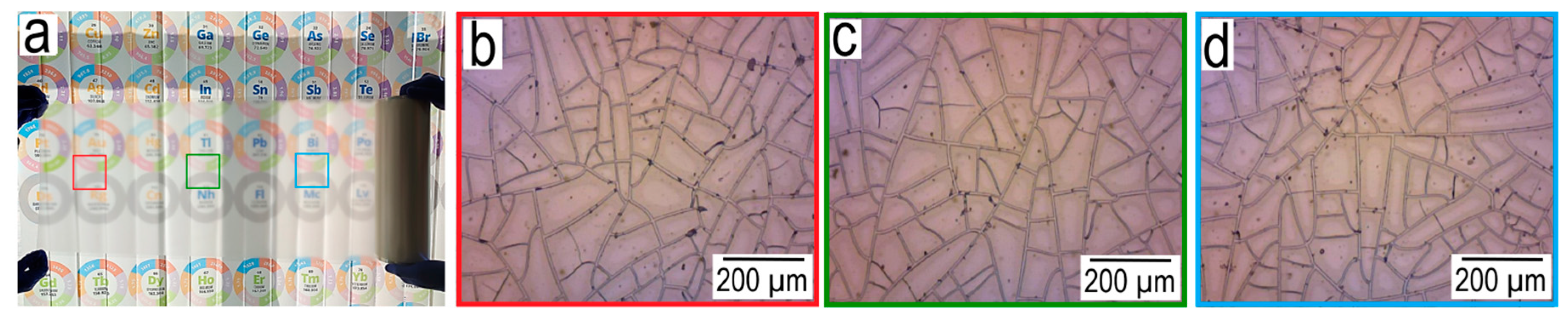 Preprints 83690 g002