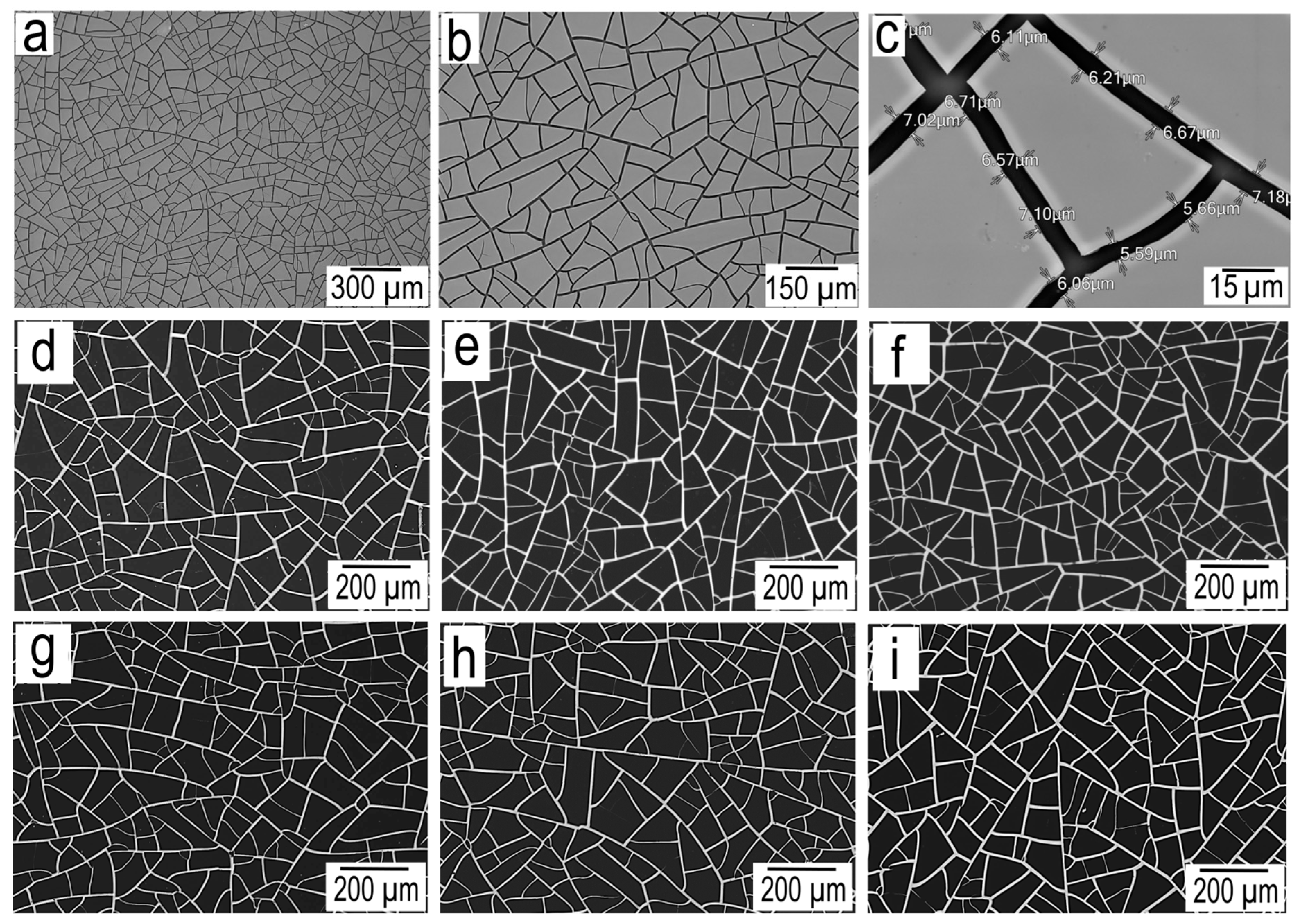 Preprints 83690 g003