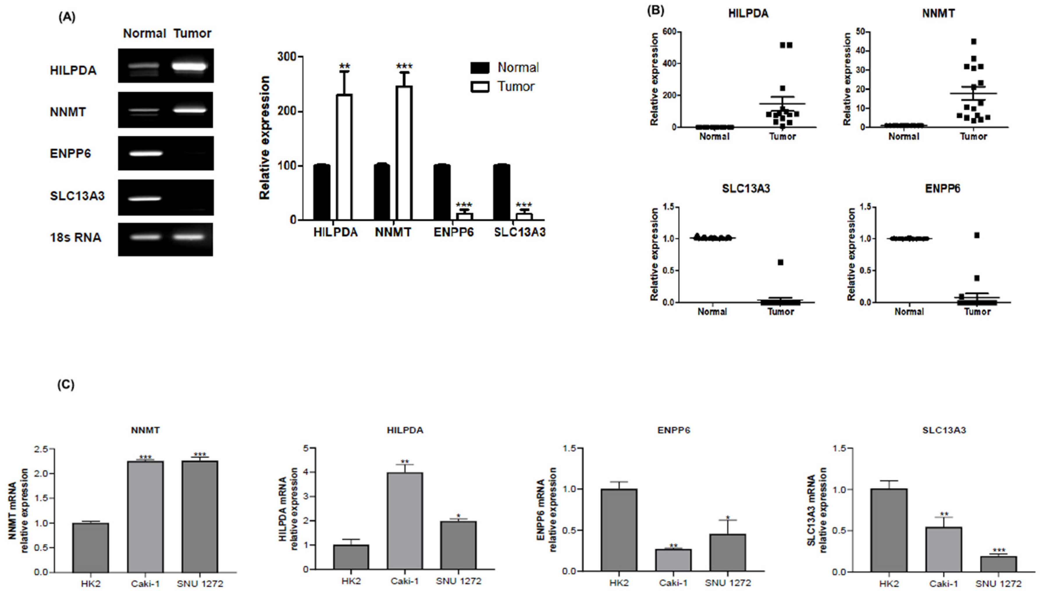 Preprints 119888 g002