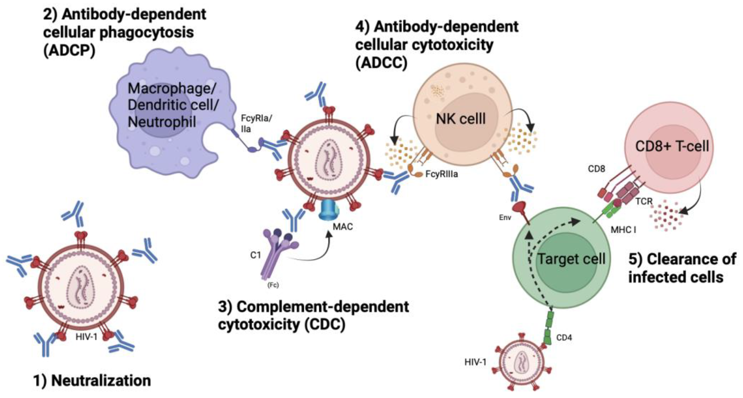 Preprints 105582 g002