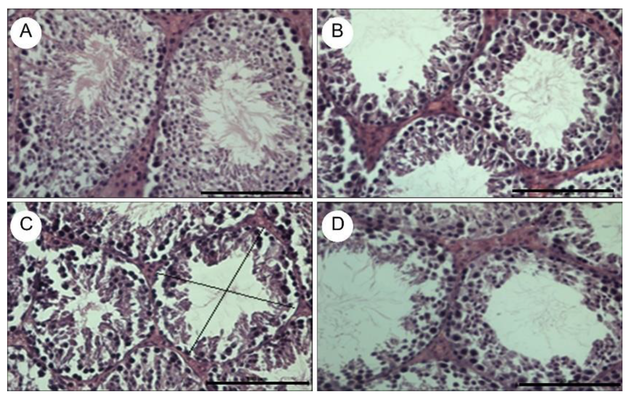 Preprints 138033 g005