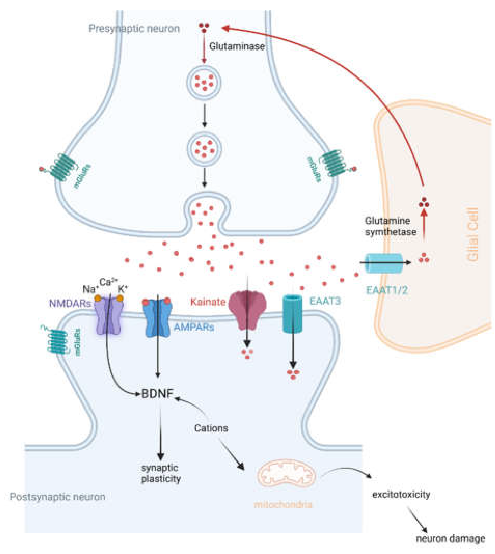 Preprints 115896 g001