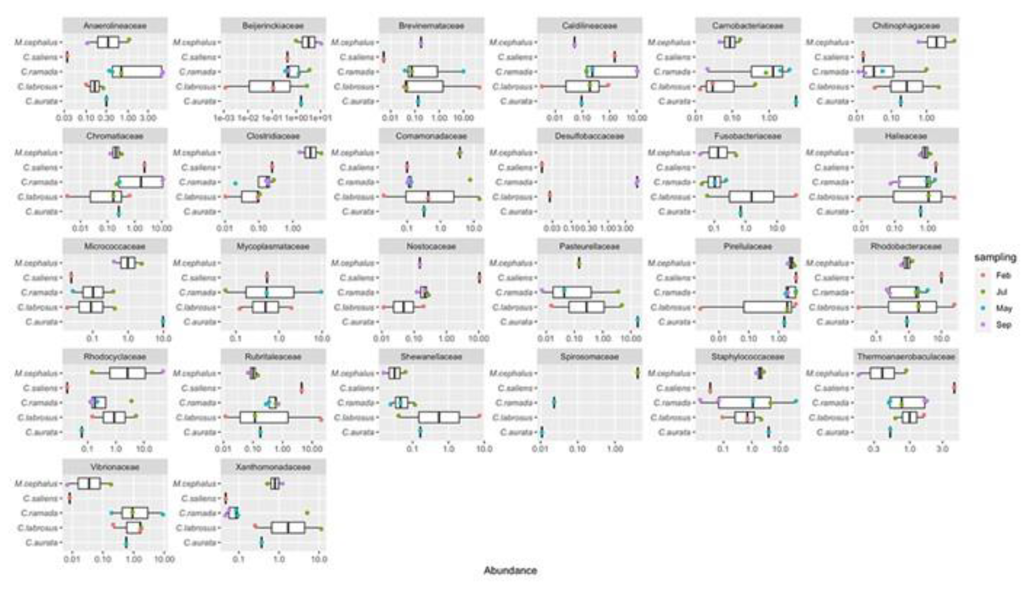 Preprints 107264 g006