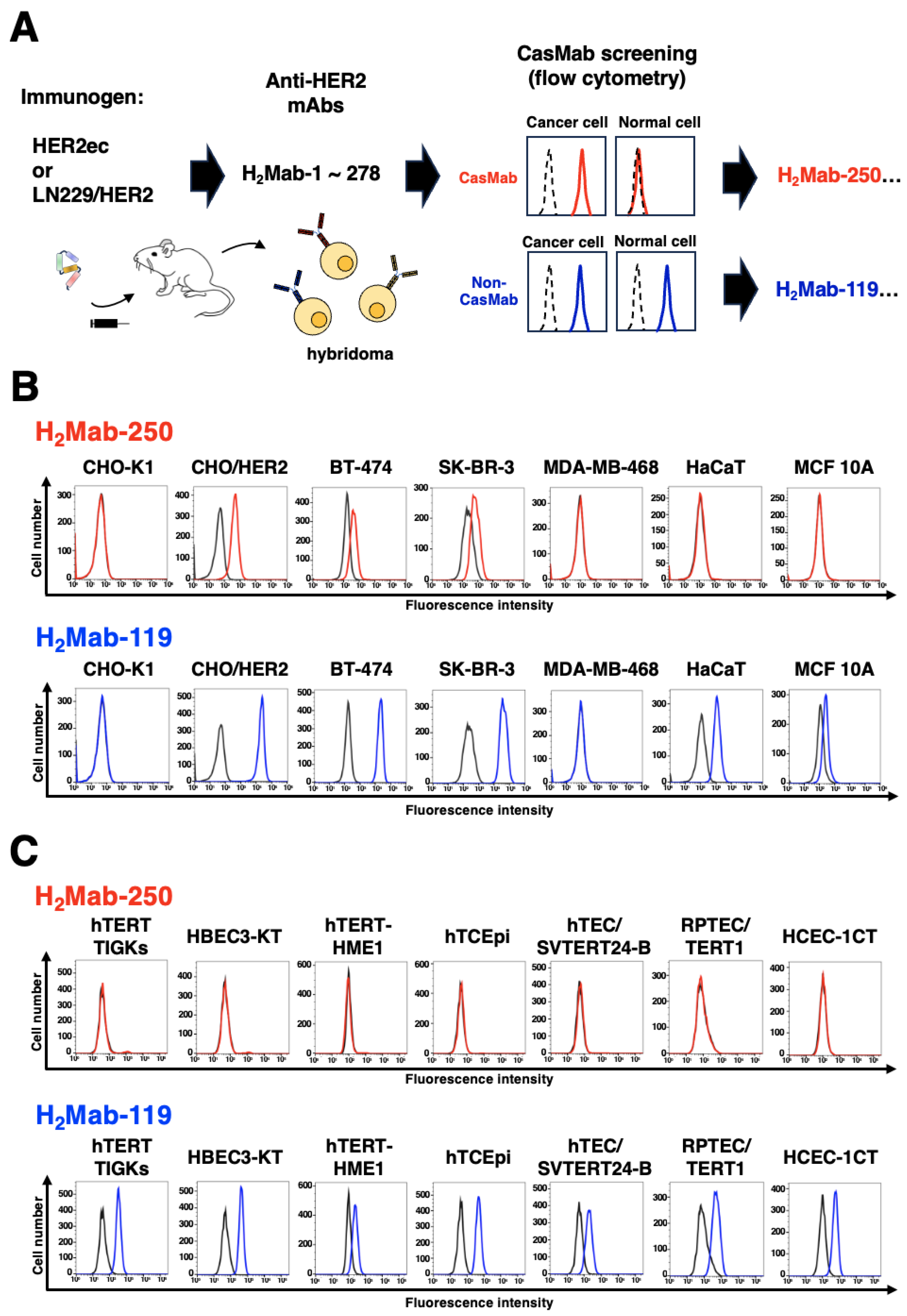 Preprints 88579 g001