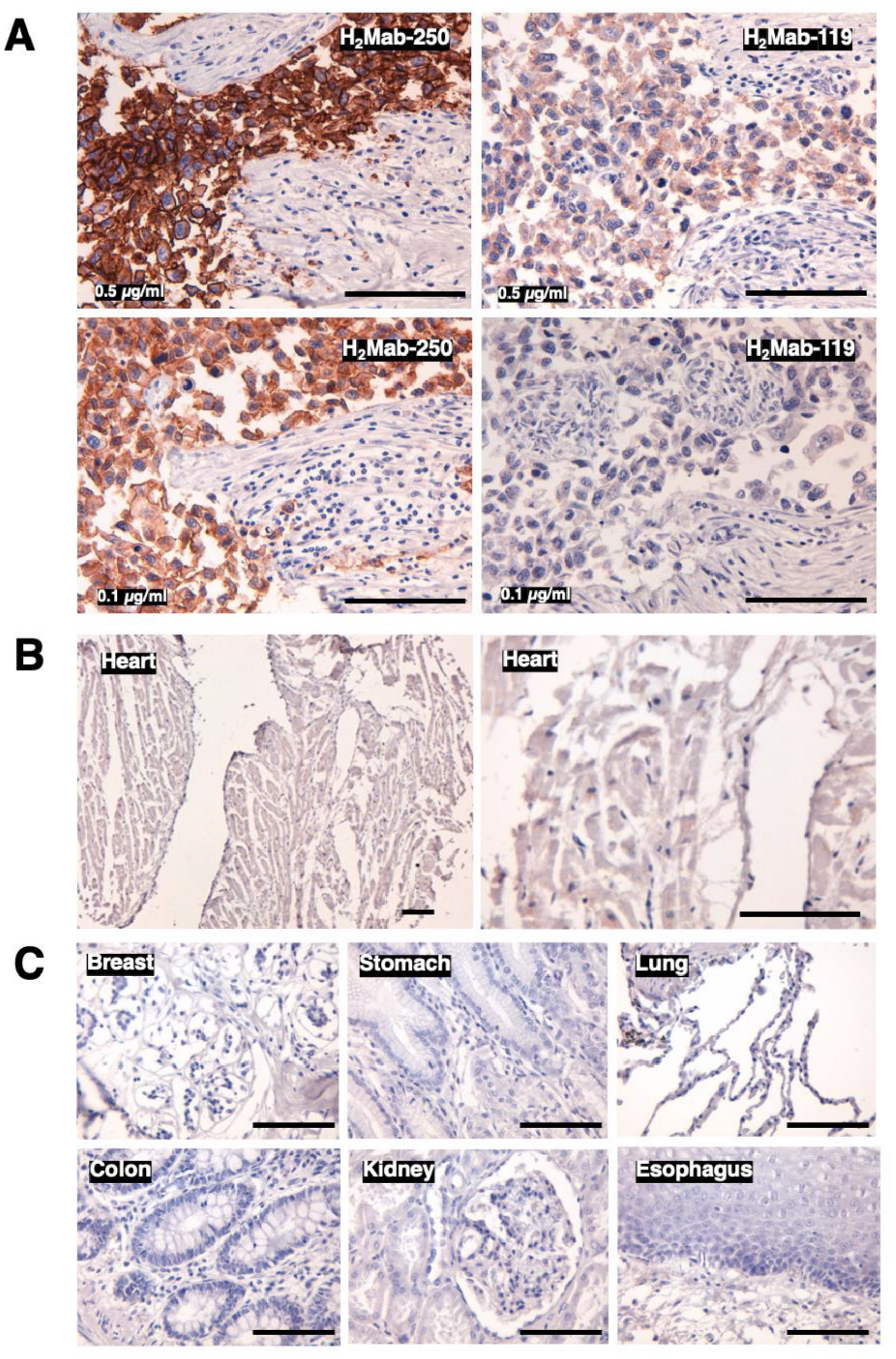 Preprints 88579 g003