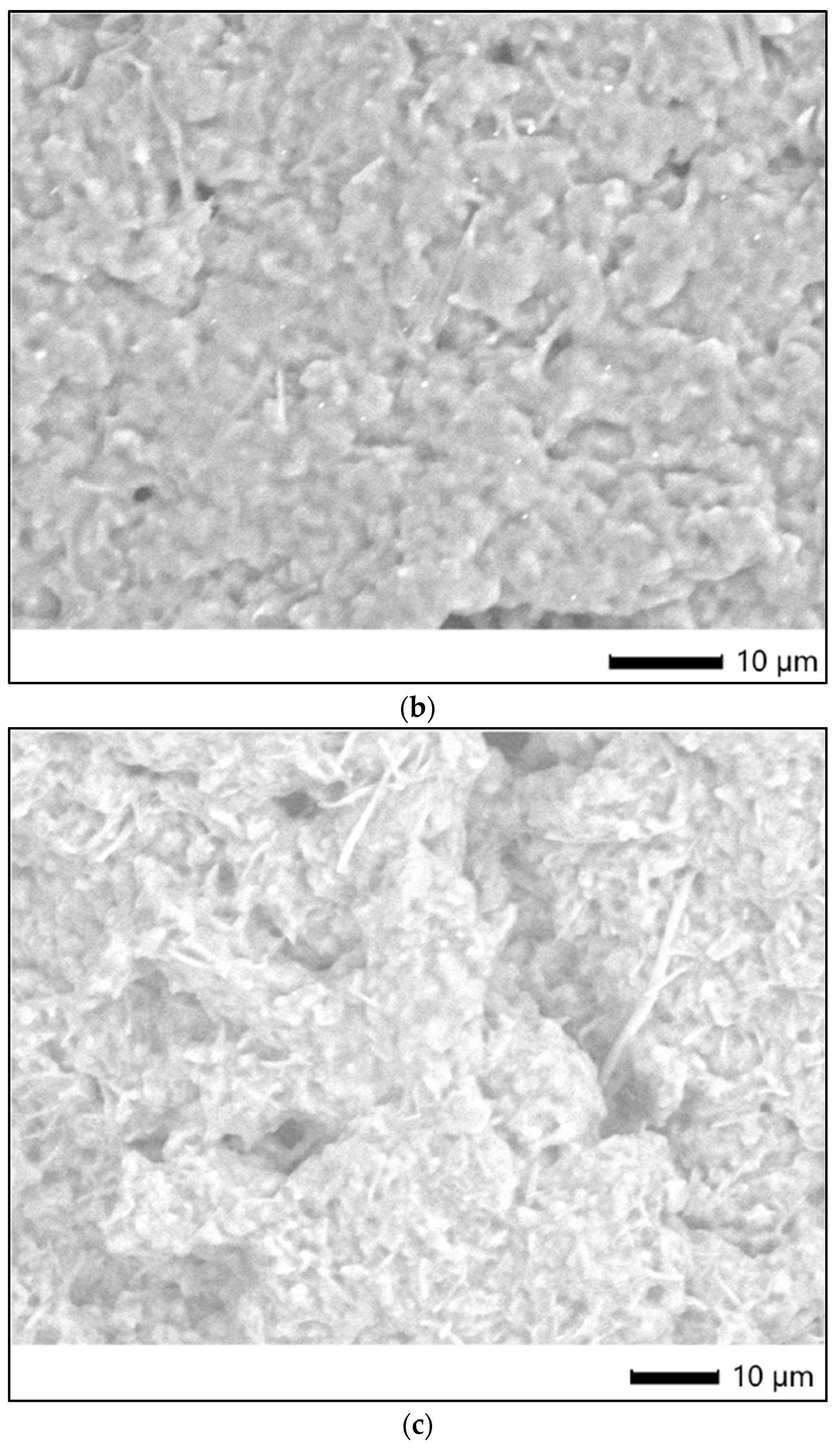 Preprints 80870 g008b