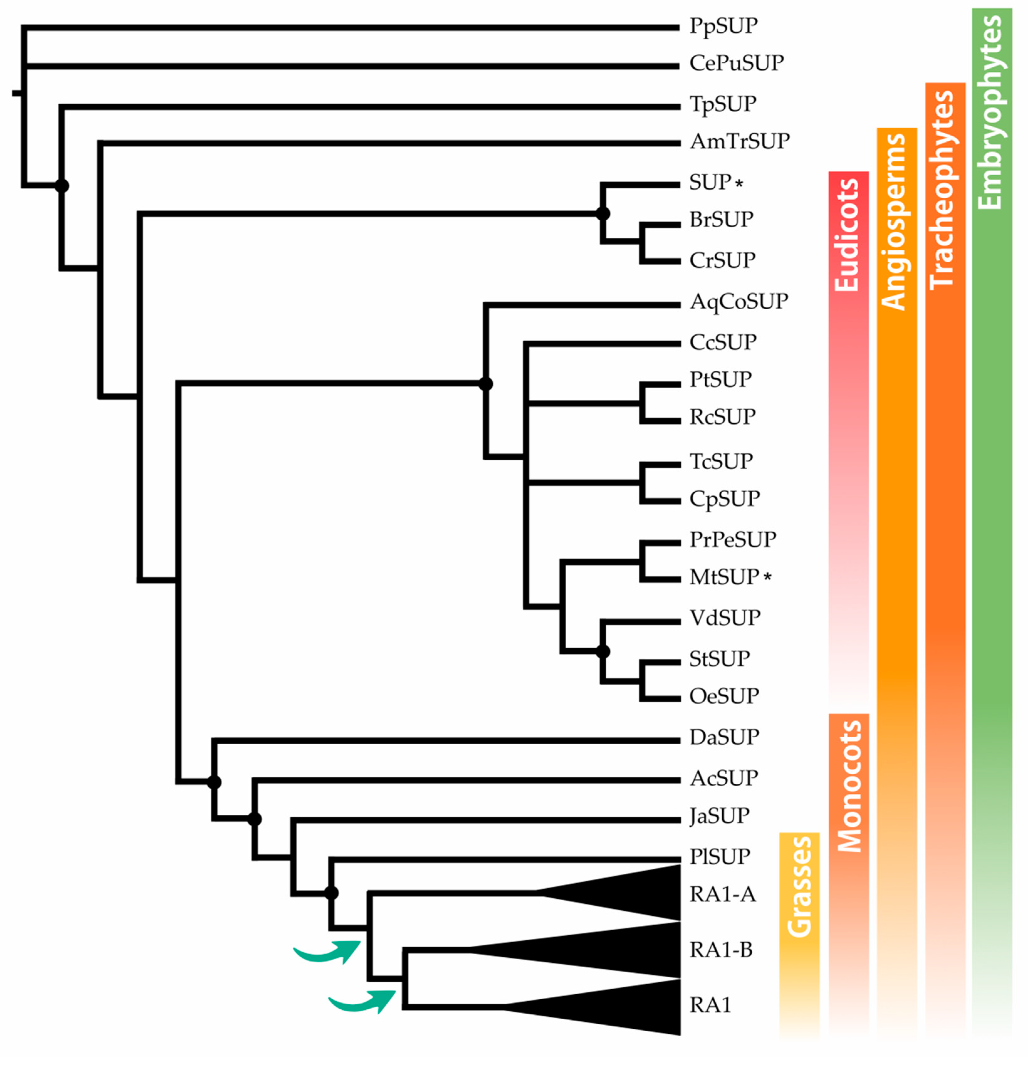 Preprints 103516 g001