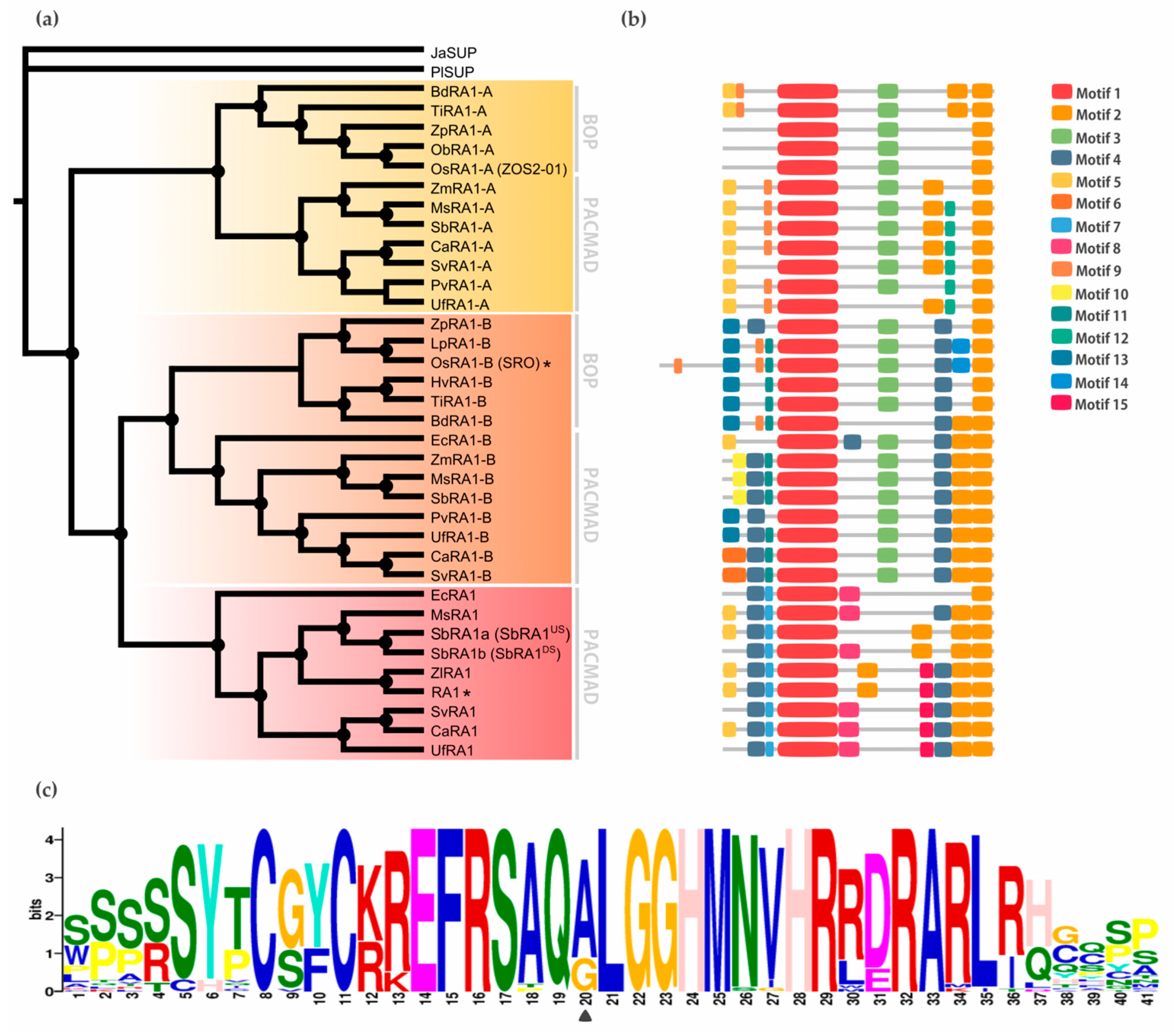 Preprints 103516 g002