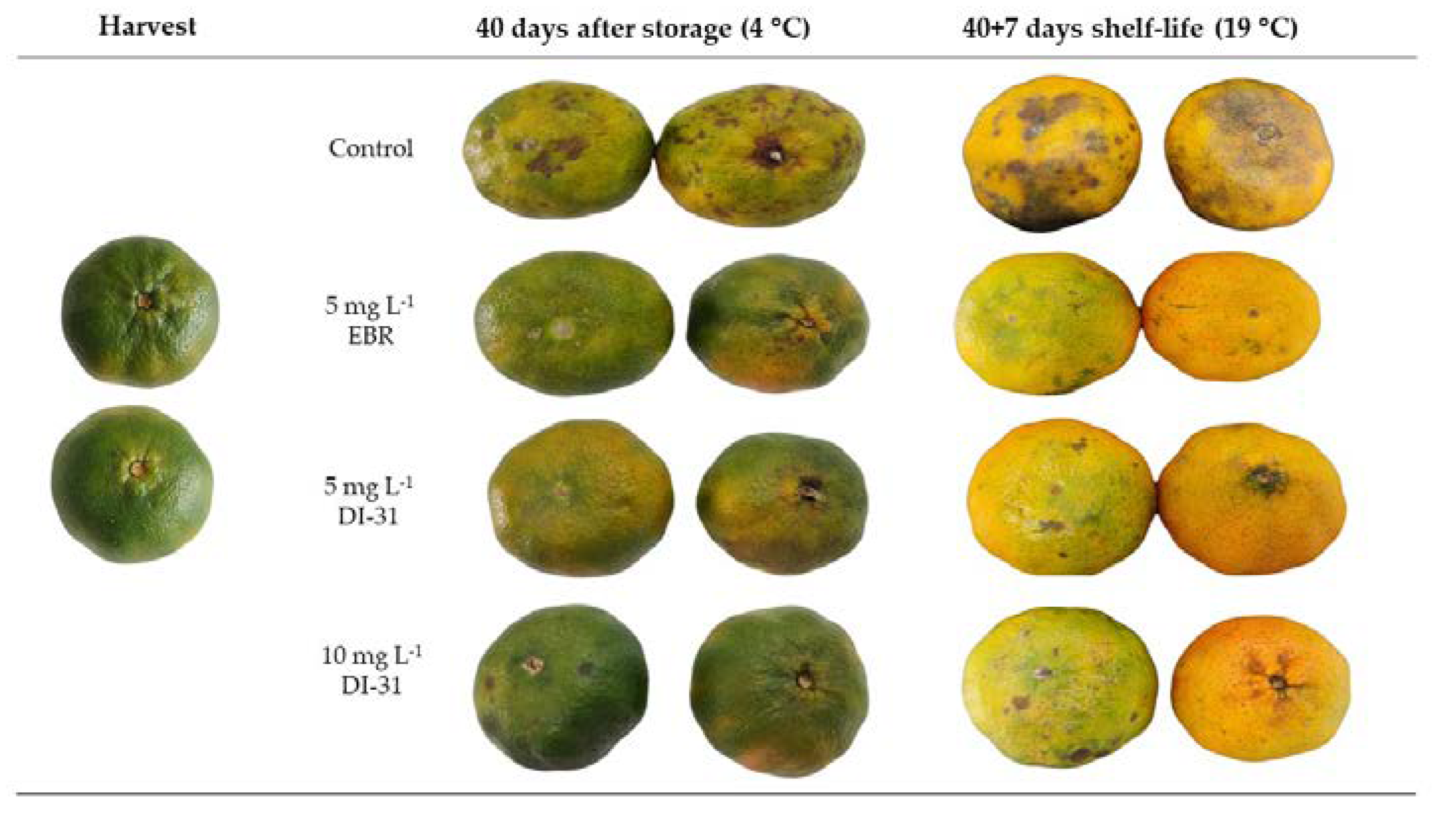 Preprints 72950 g003