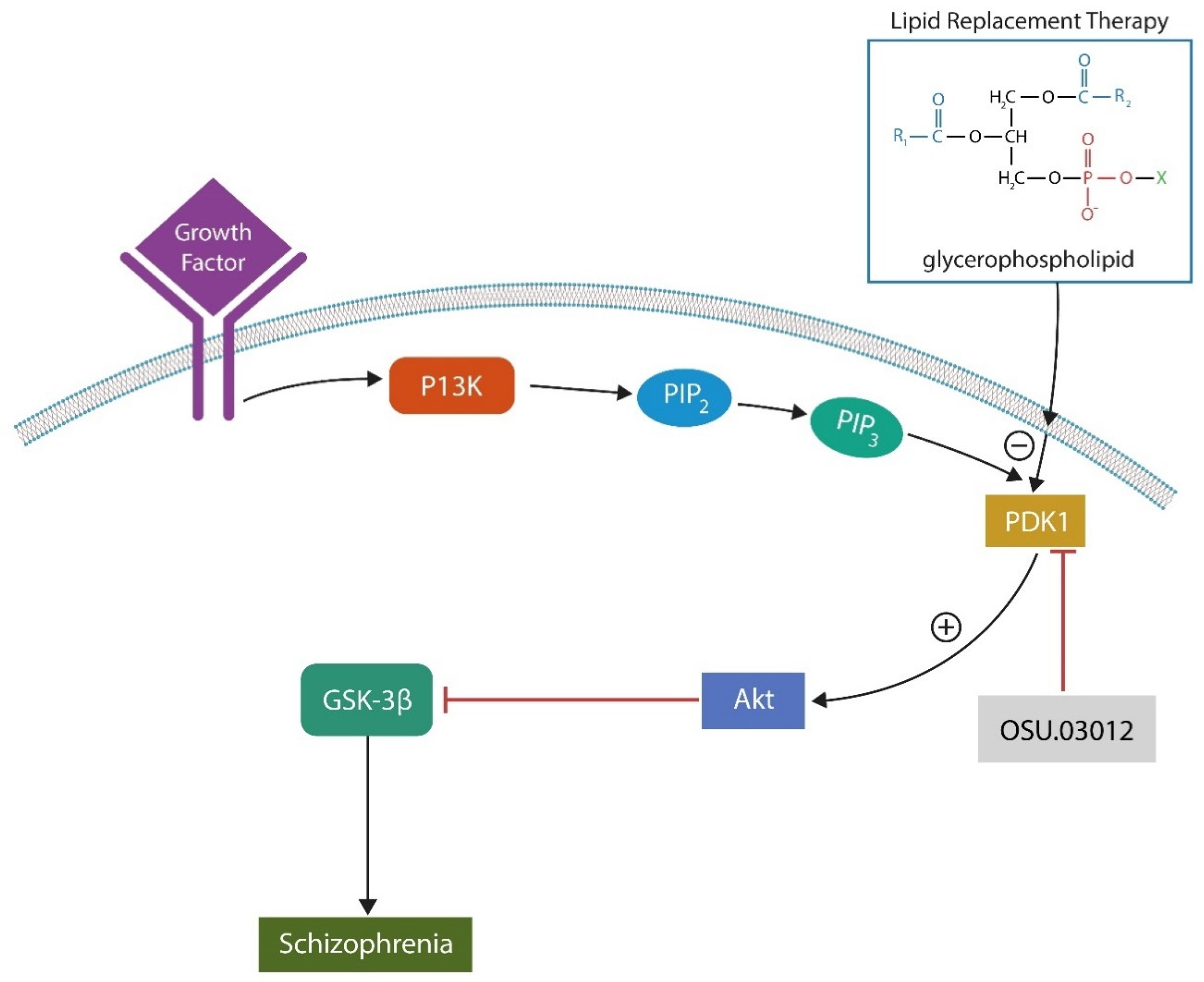 Preprints 84122 g004