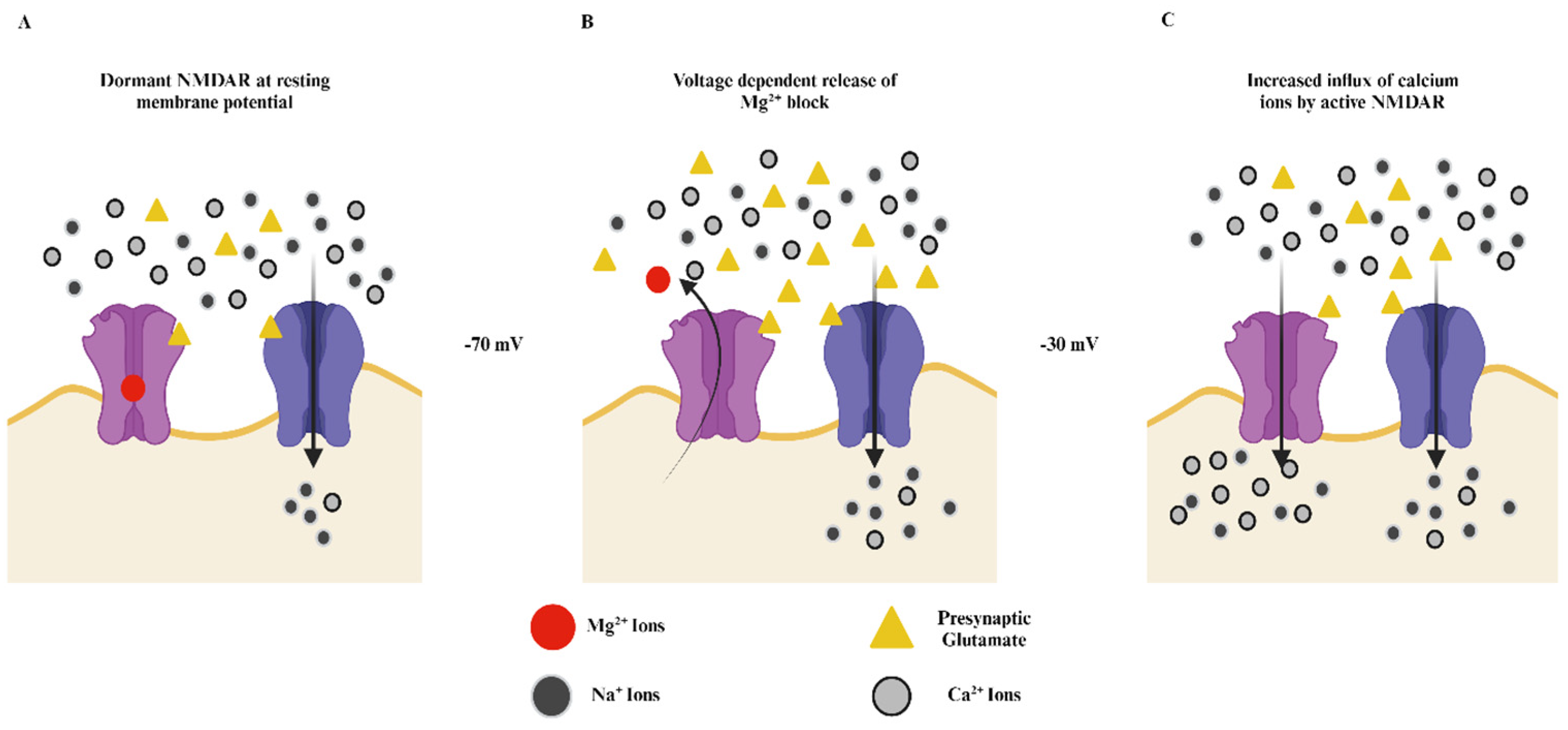 Preprints 120572 g002