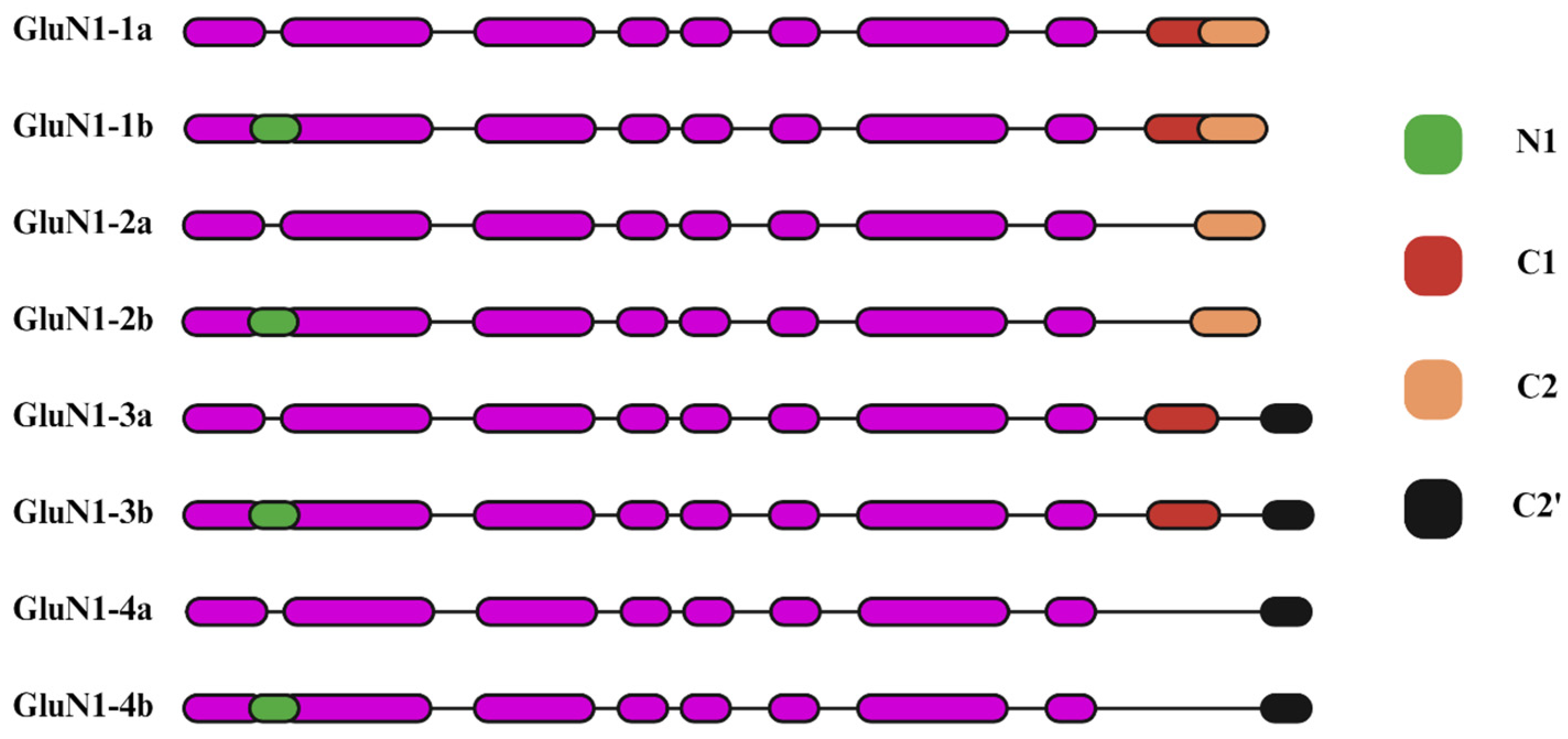 Preprints 120572 g003