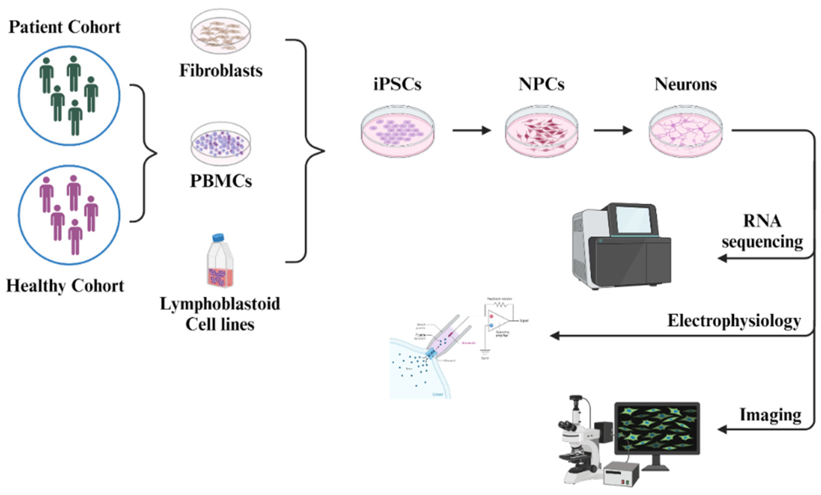 Preprints 120572 g004