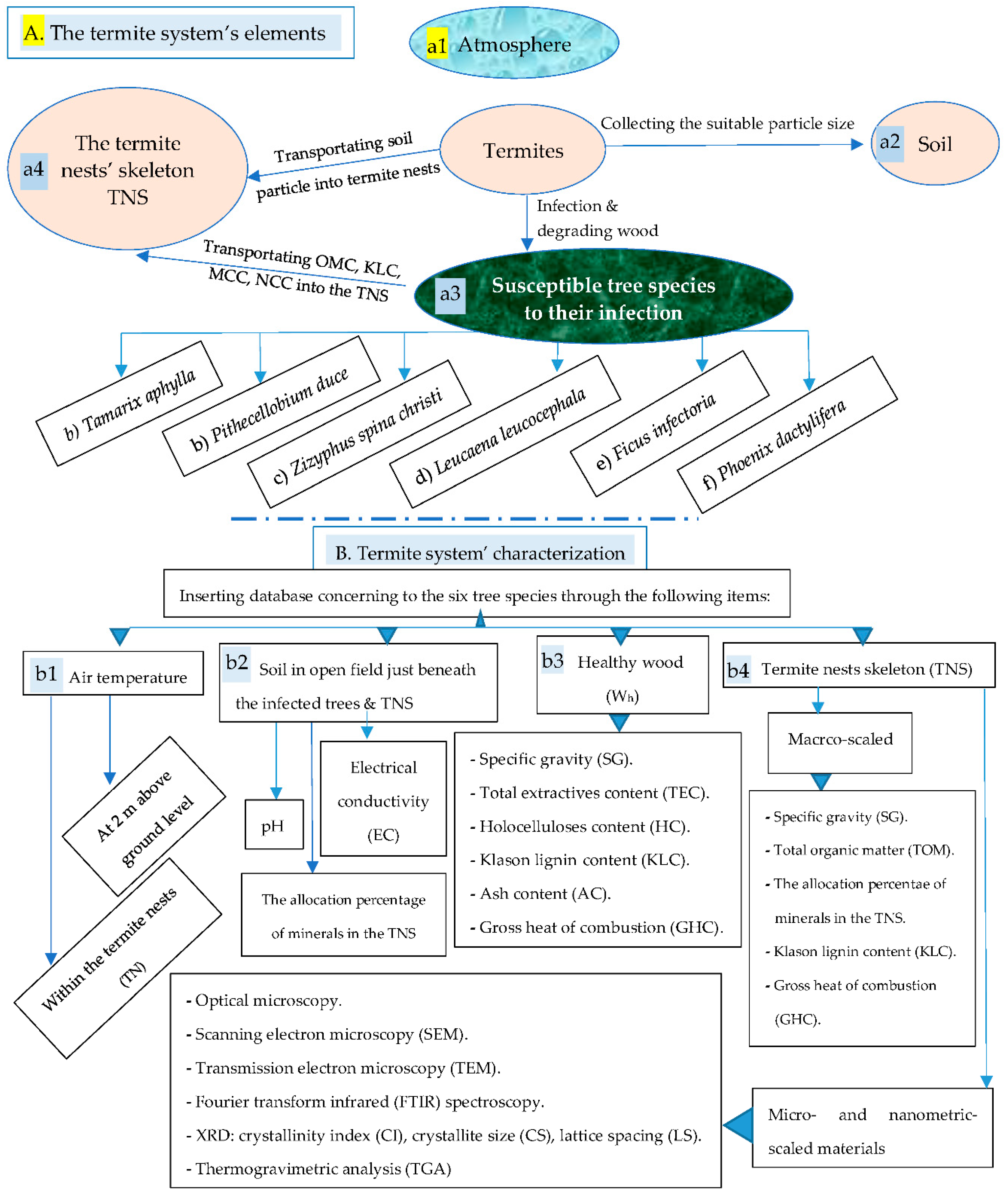 Preprints 85741 g001