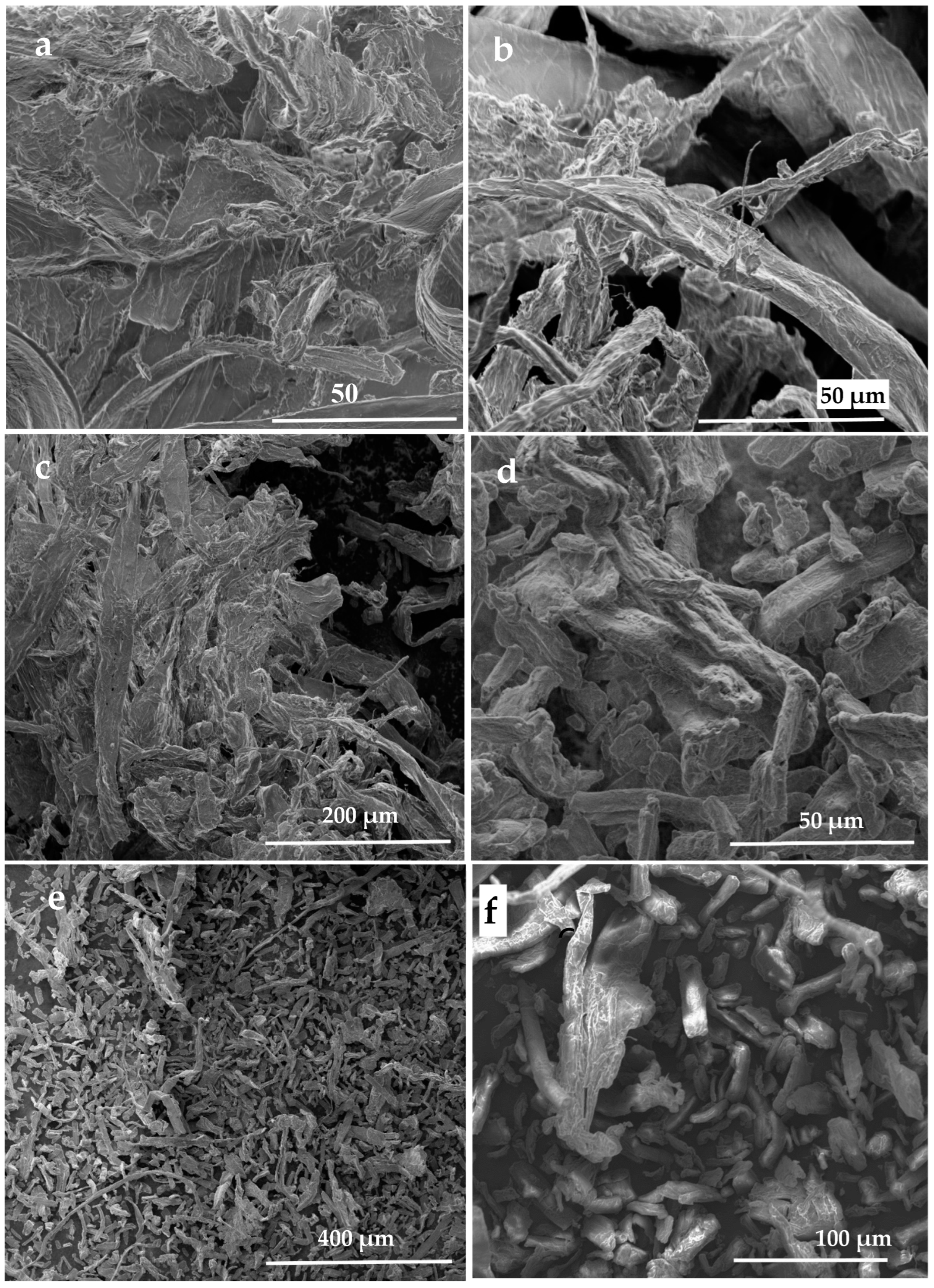 Preprints 85741 g014