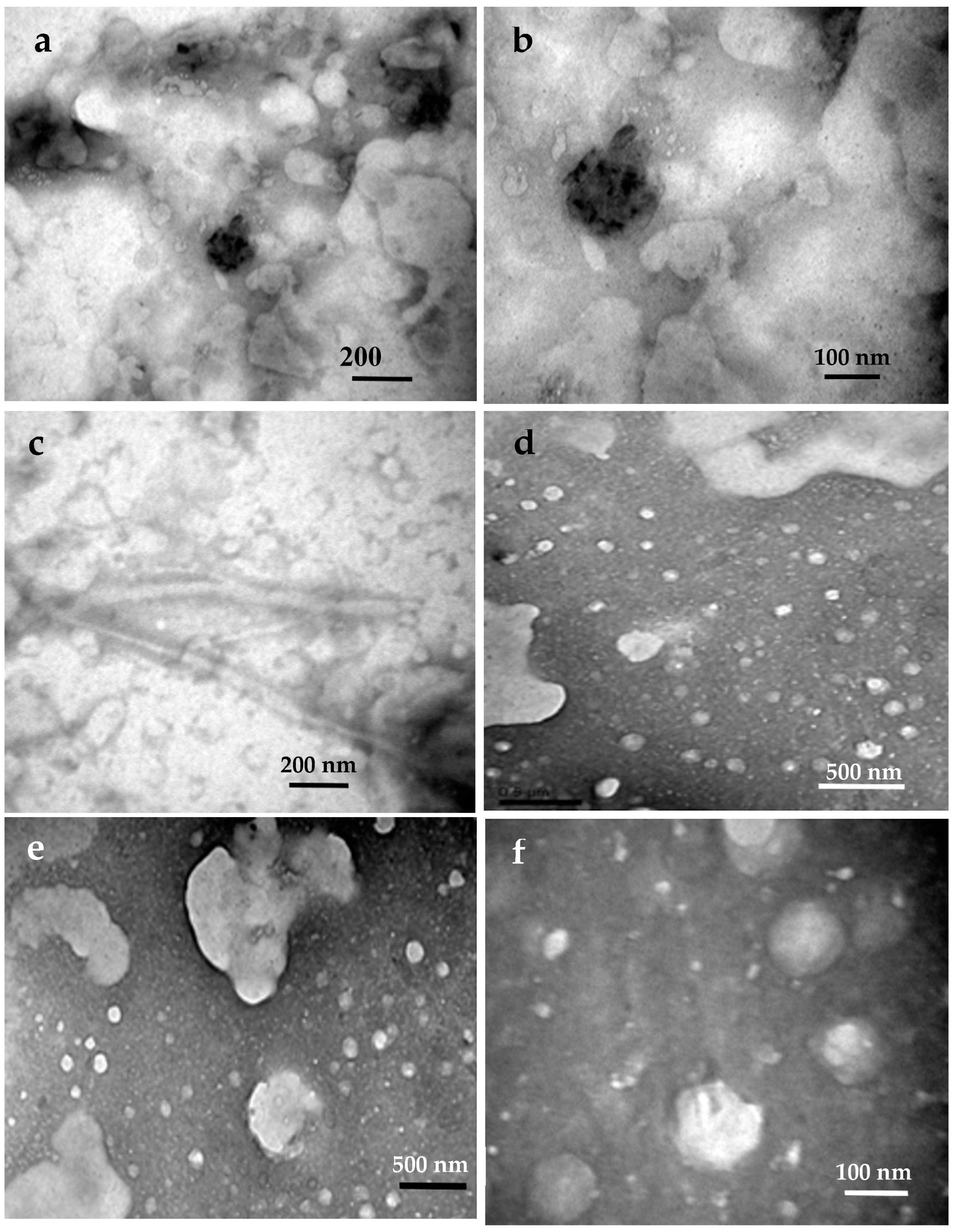 Preprints 85741 g015