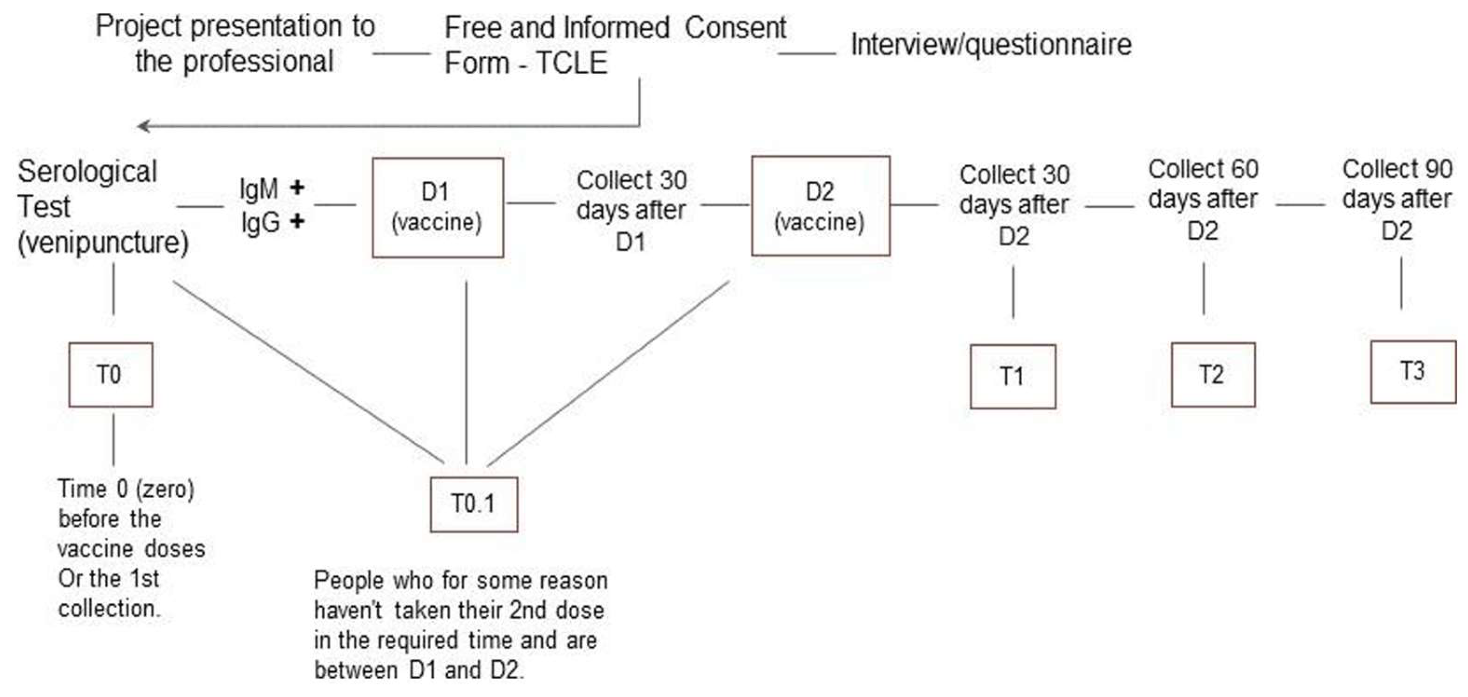 Preprints 116612 g002