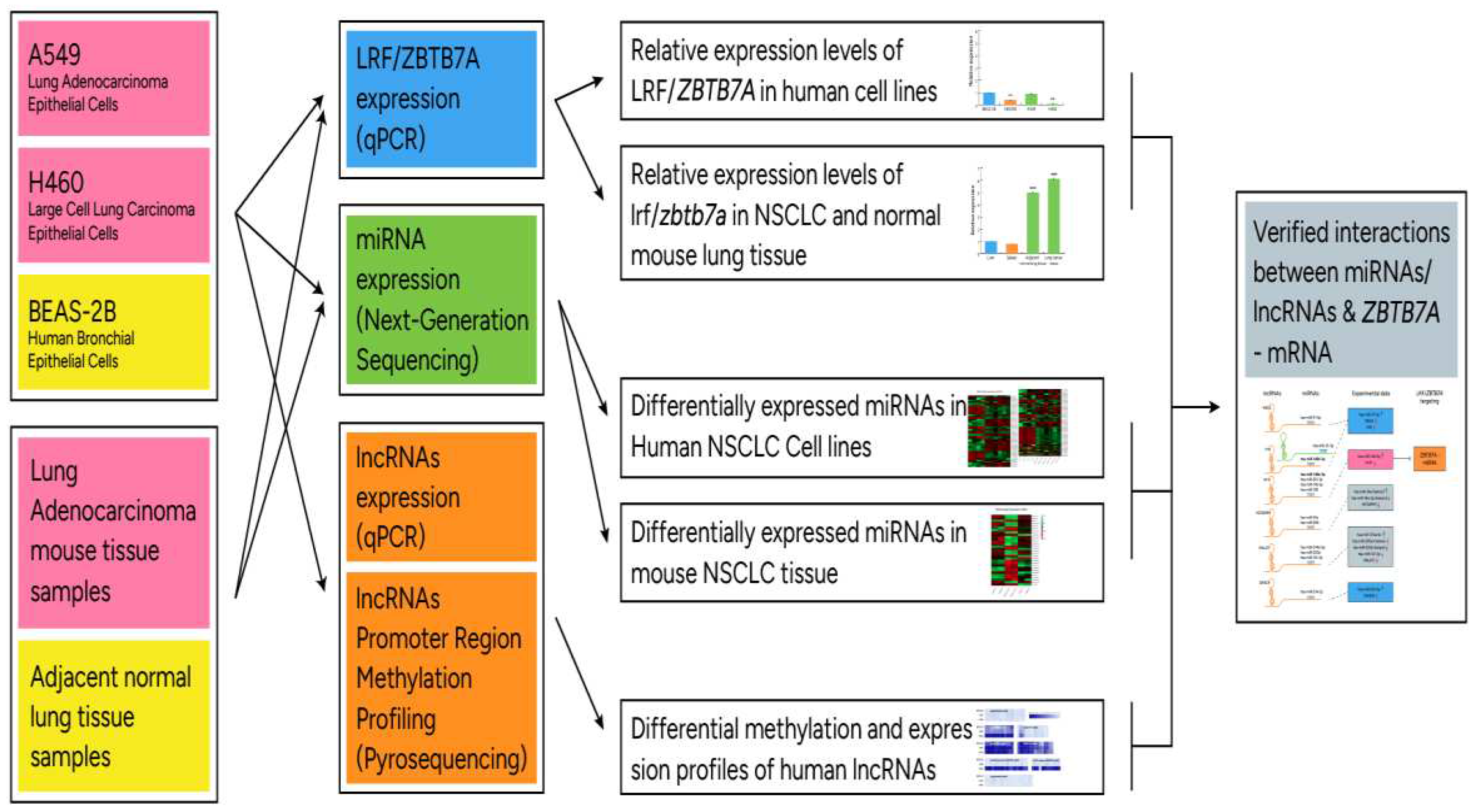 Preprints 88927 g001