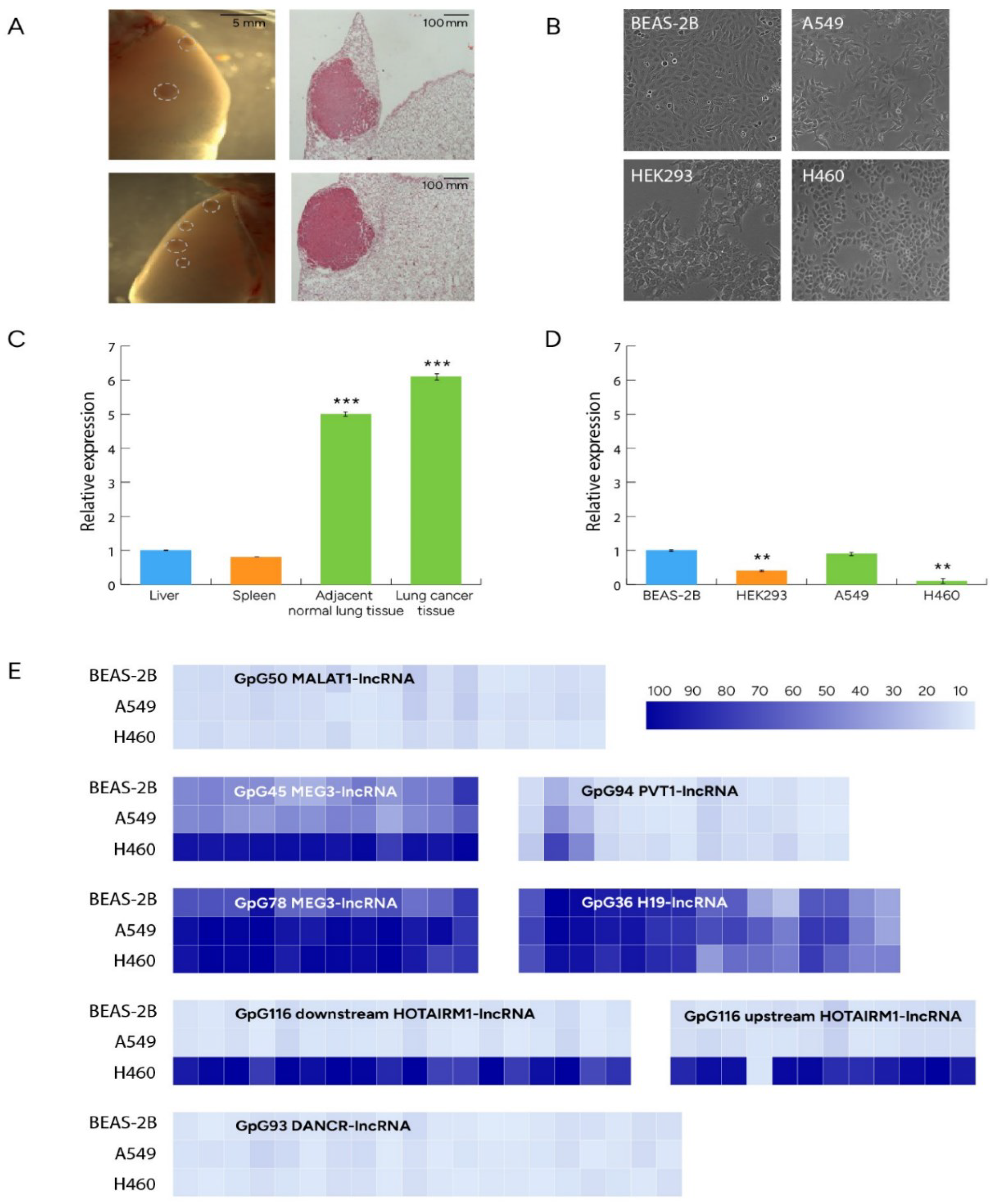 Preprints 88927 g002