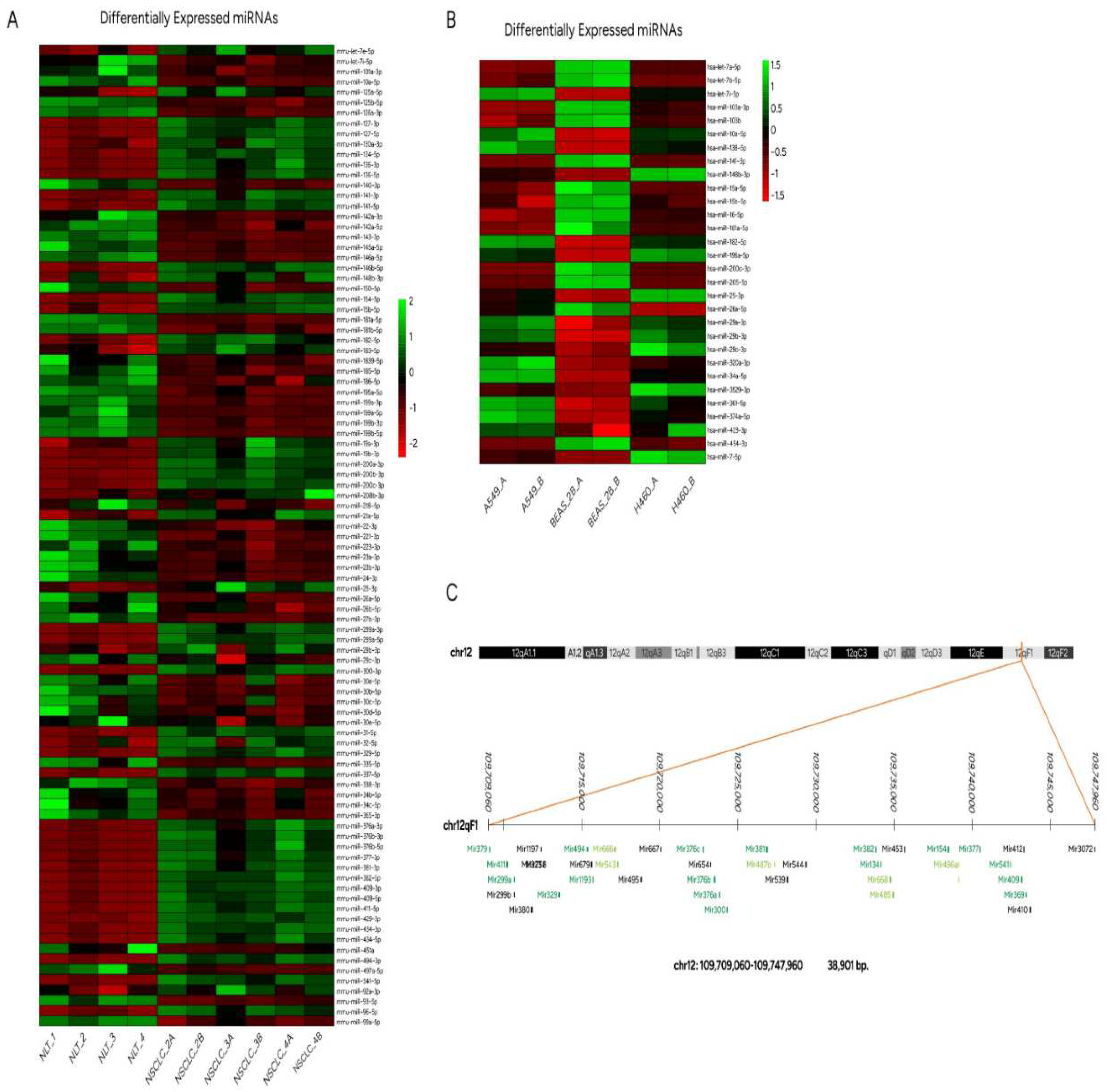 Preprints 88927 g003